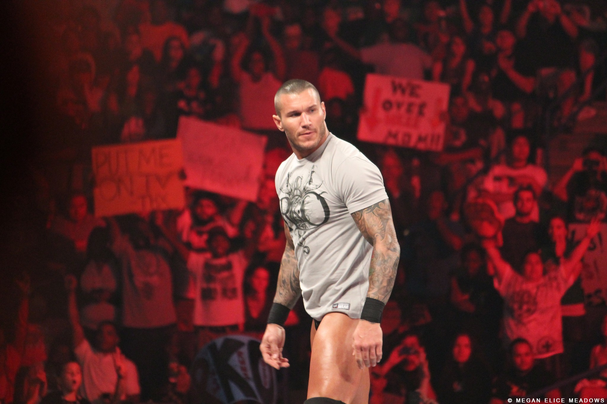 2048x1365 Randy Orton WWE World Heavyweight Champion HD Wallpapers Images 2048Ã1365