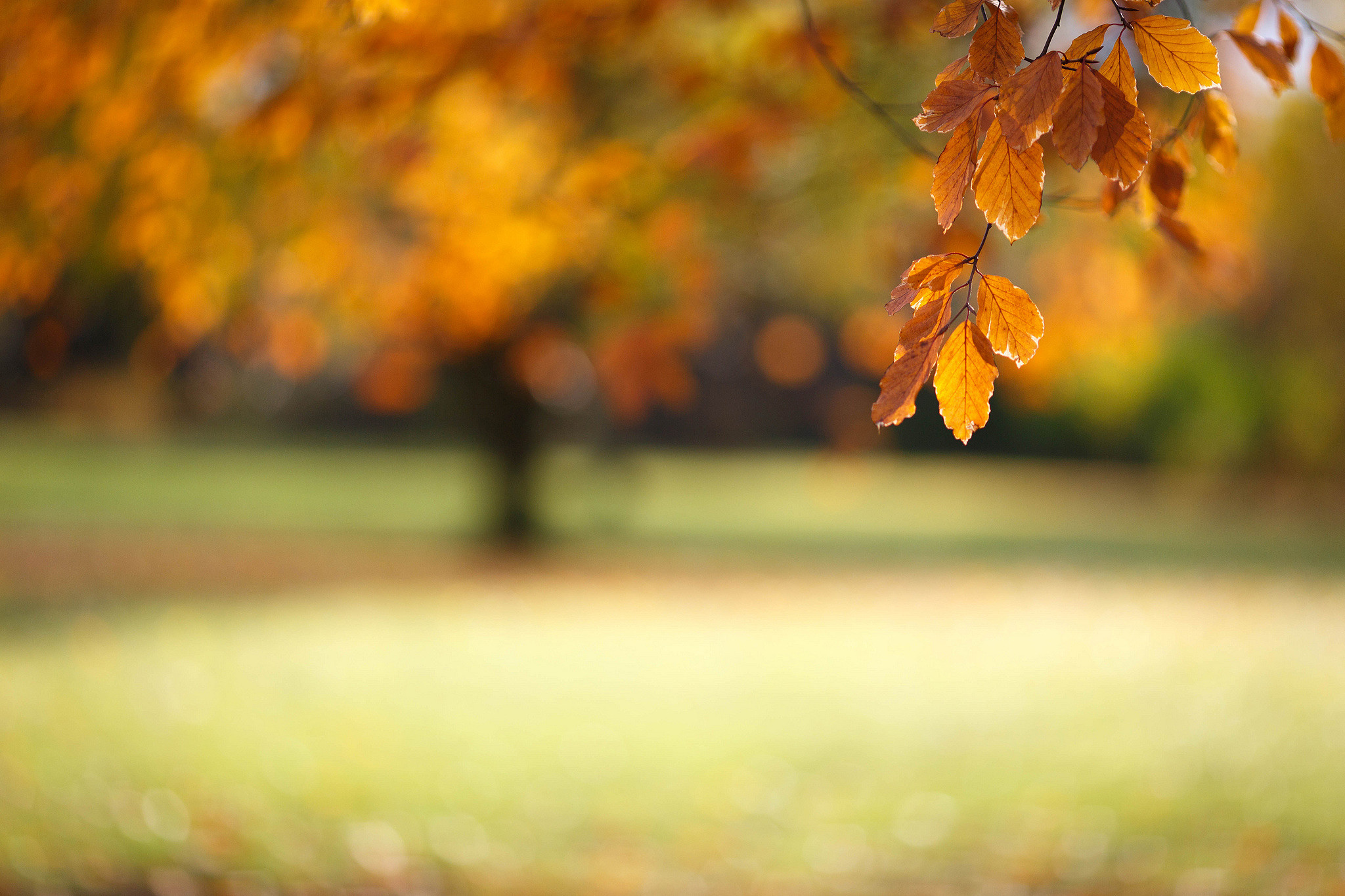 2048x1365 Download and View Full Size Photo
