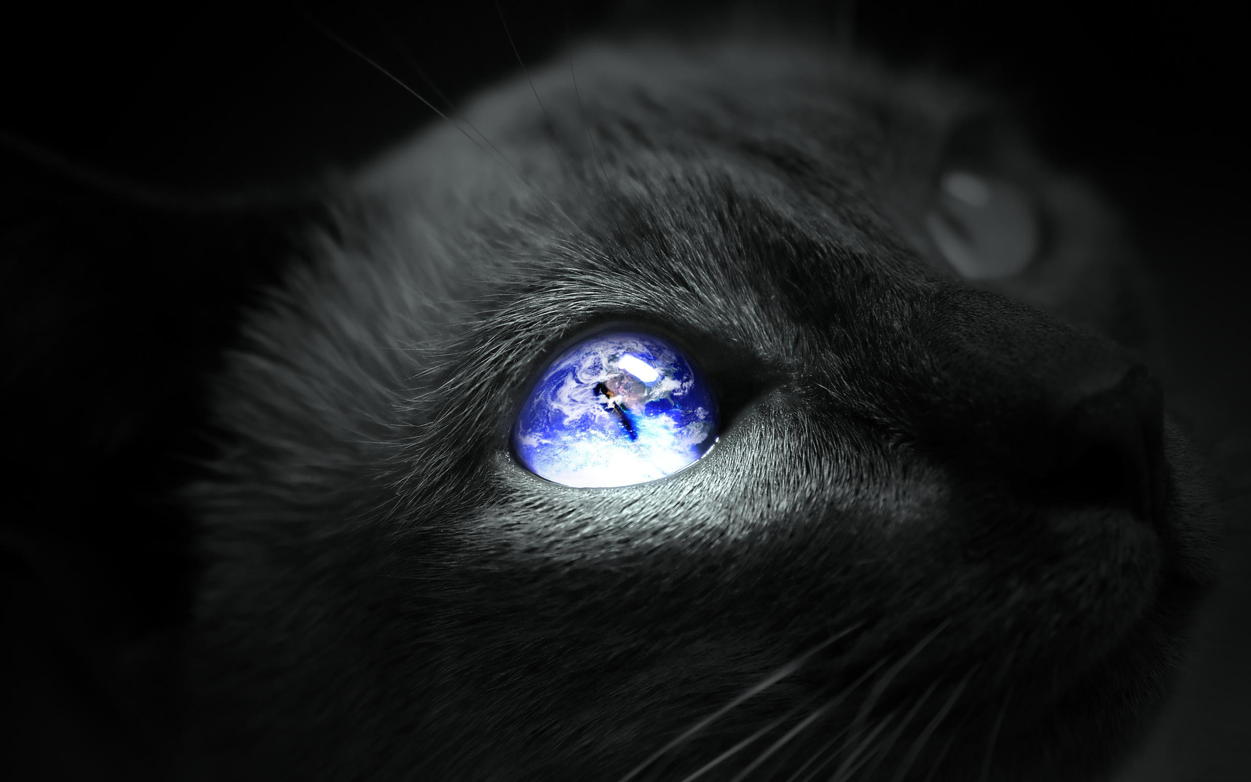 2560x1600 Earth Cat eye