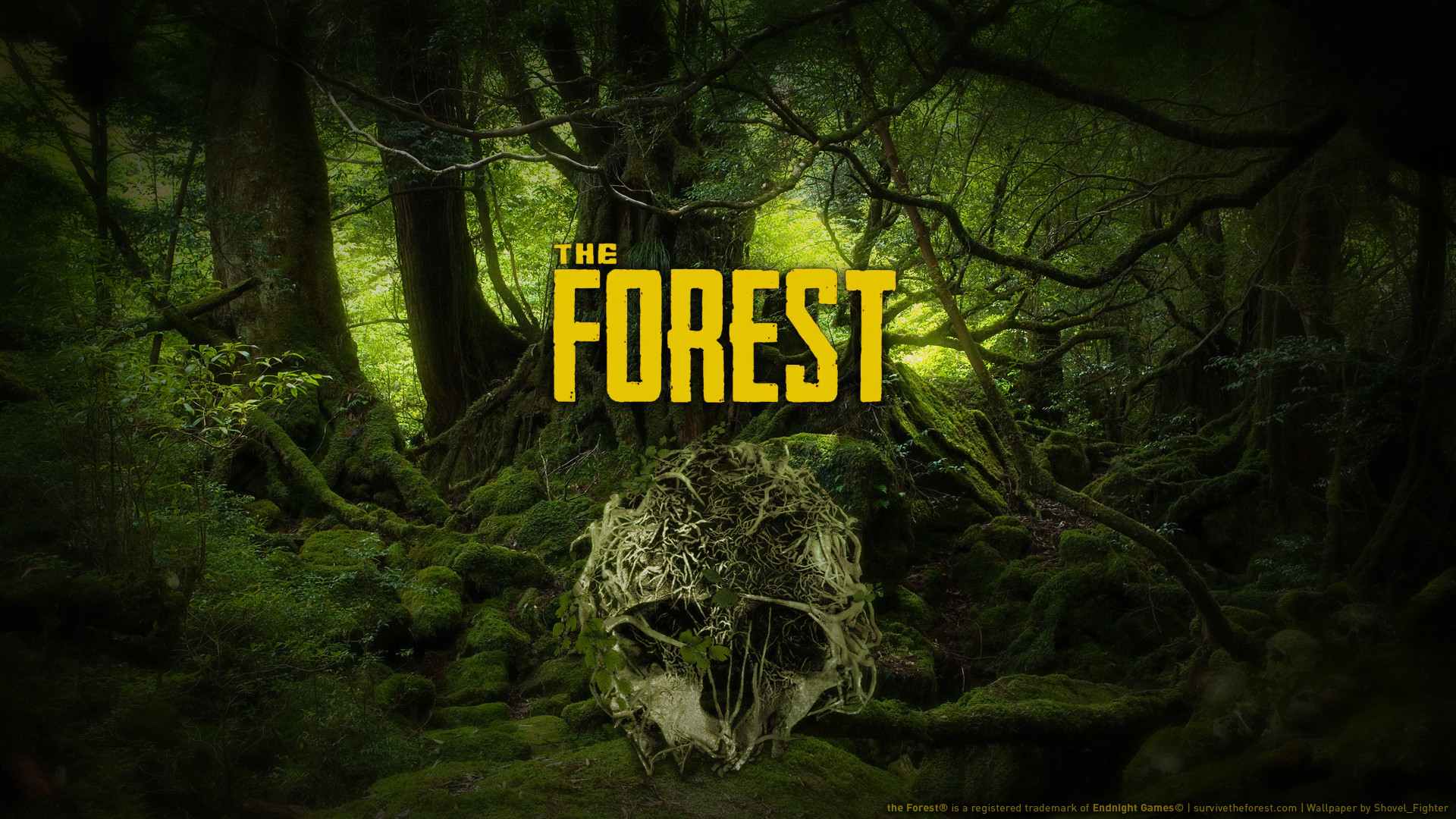 The Forest Wallpapers (78+ images)