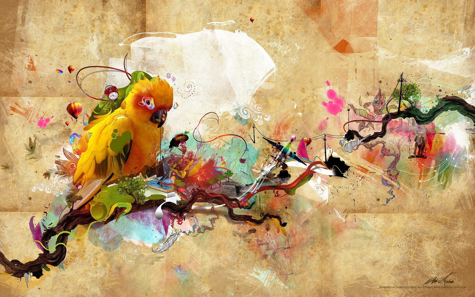 1920x1200 Animal - Artistic Wallpaper Â· Bird Of ParadiseArtistic ...