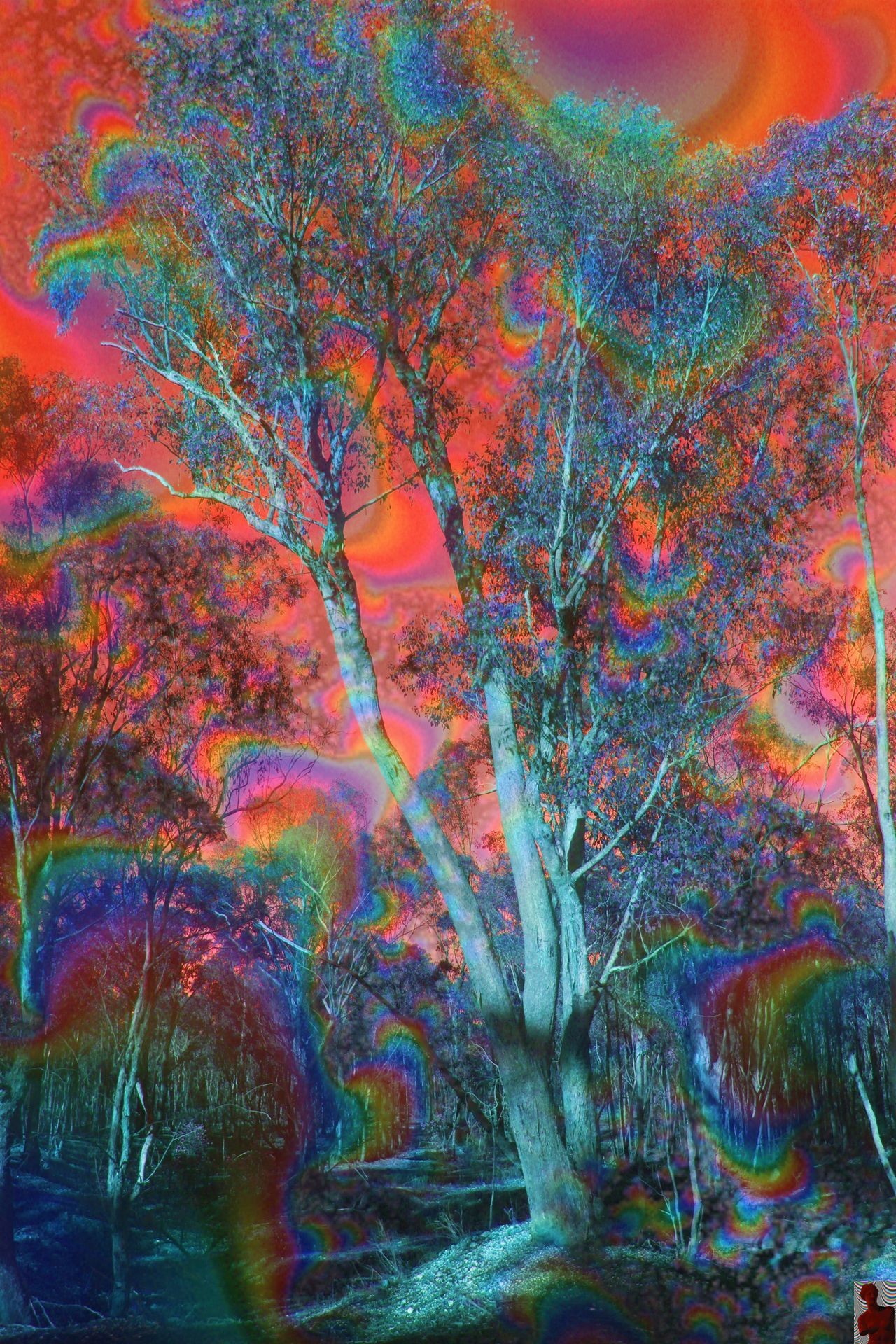 1280x1920 Hippie Wallpaper, Trippy Wallpaper, Acid Wallpaper, Iphone Wallpaper, Acid  Trip