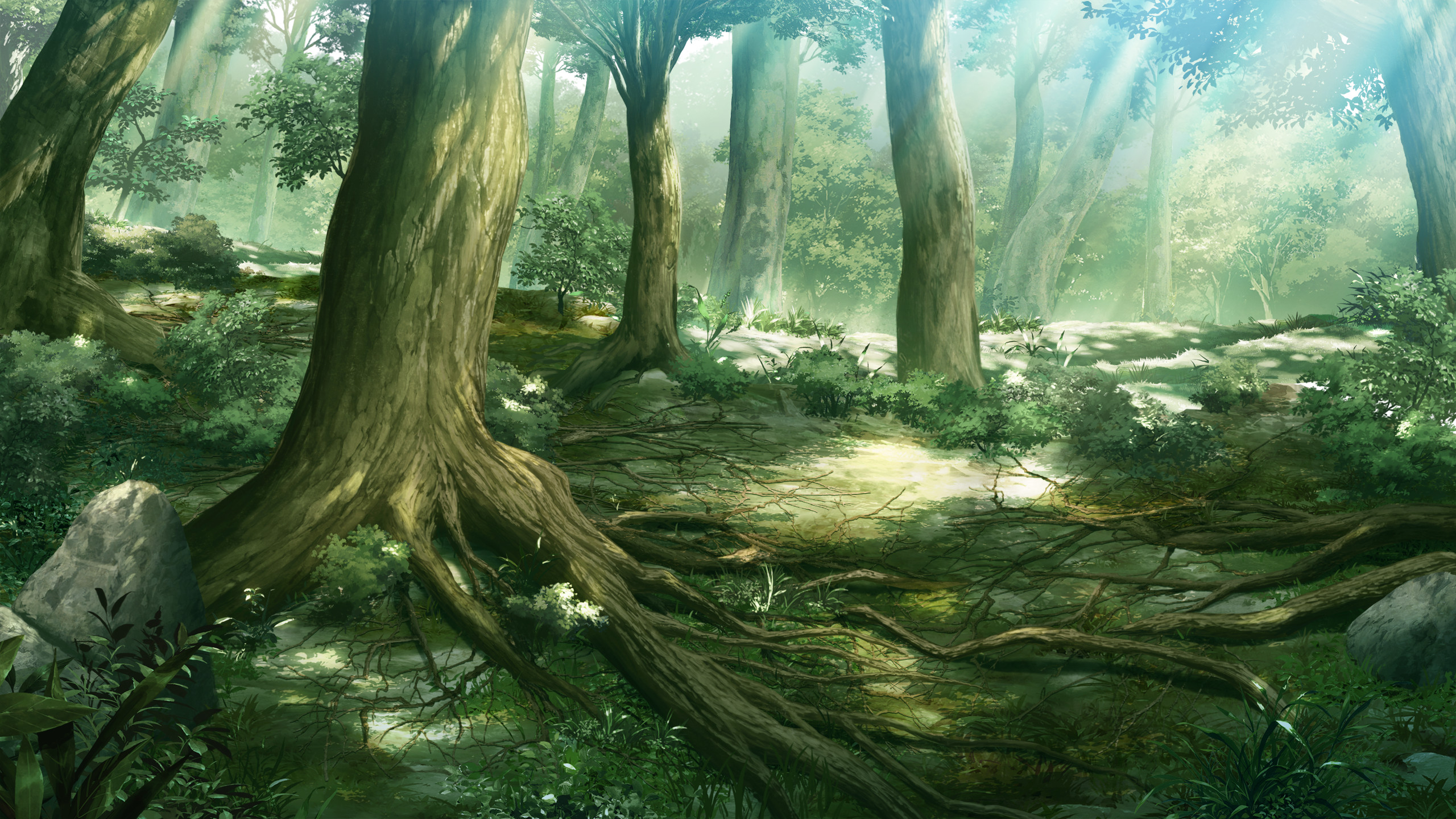 2560x1440 anime forest scenery wallpaper 7990