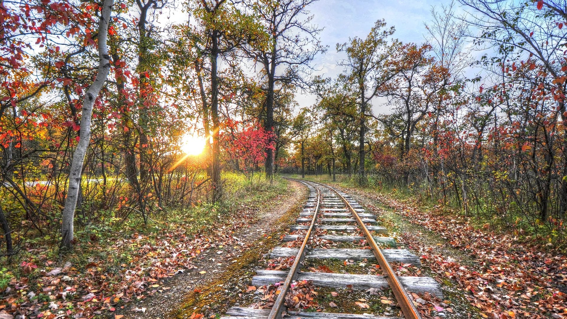1920x1080 Tracks Sunrise Old Forest Autumn Track Train Leaves Sunset Wallpaper For  Iphone Detail