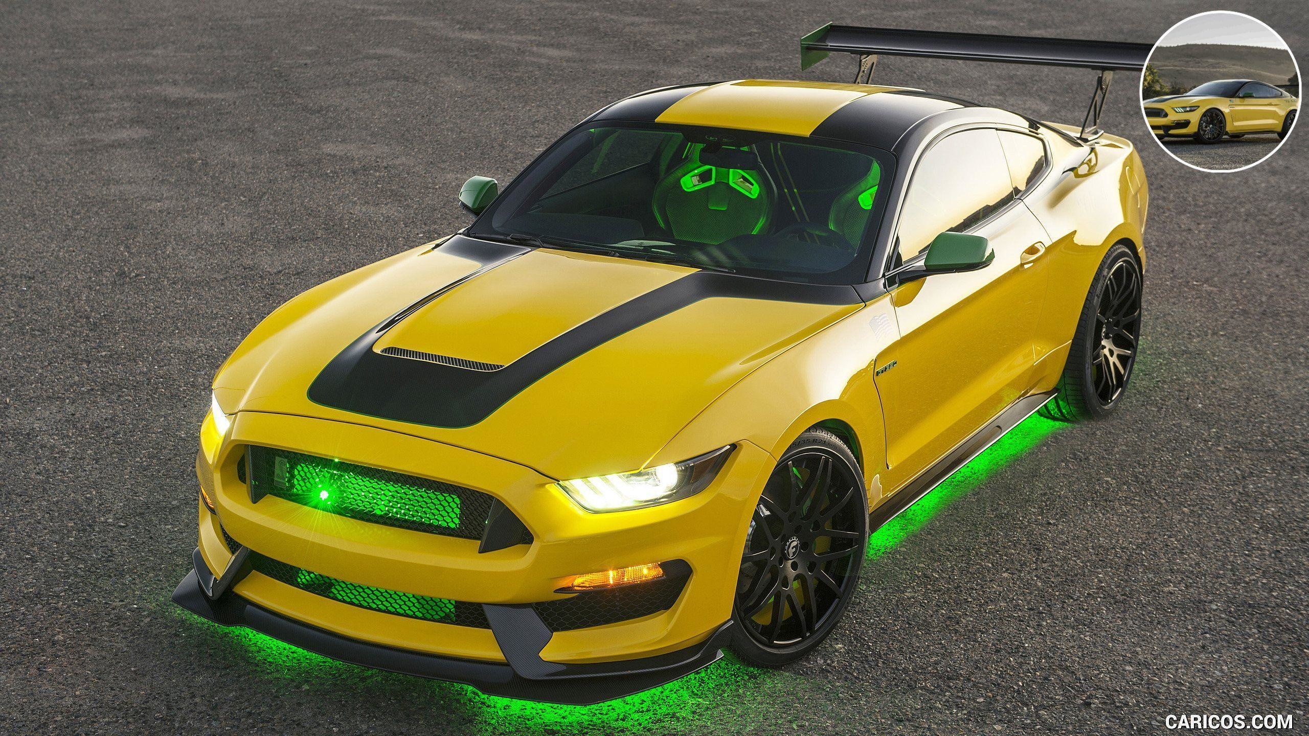 2560x1440 2017 Ford Mustang Shelby GT350 Ole Yeller | Caricos.com