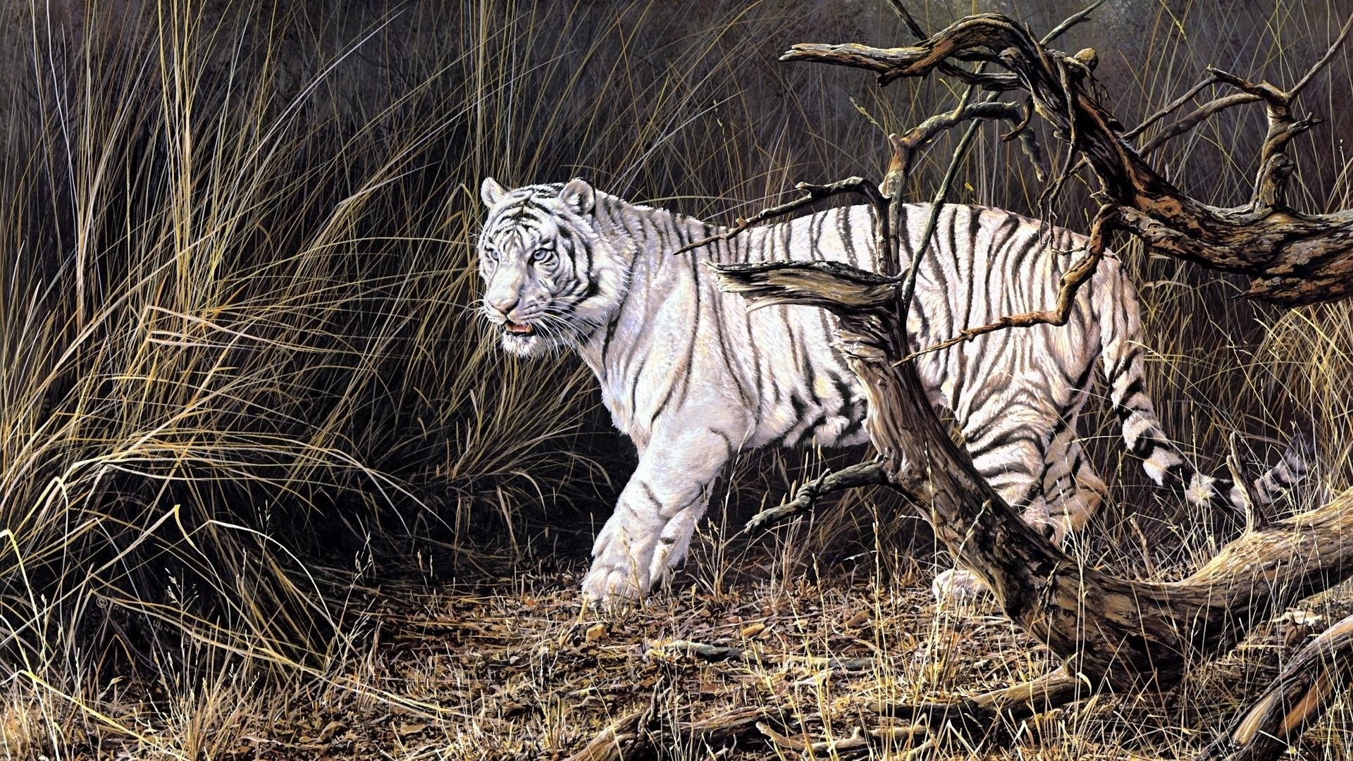 1920x1080 Siberian Tiger - Painting art wallpaper