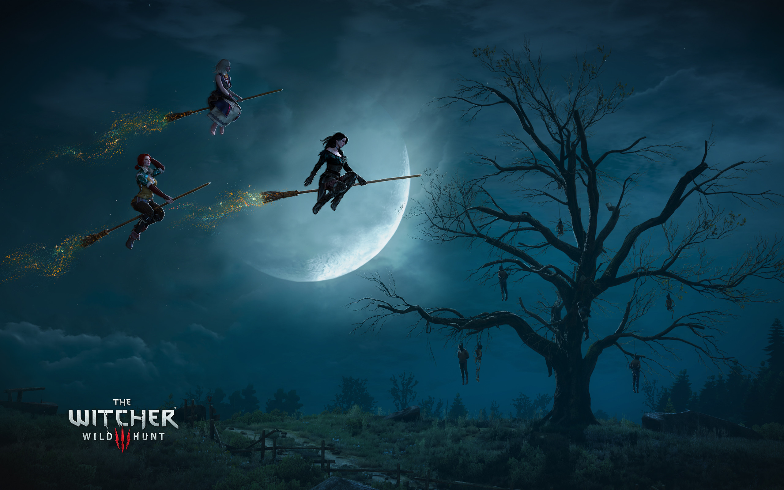 2560x1600 The Witcher 3 Wild Hunt Witches