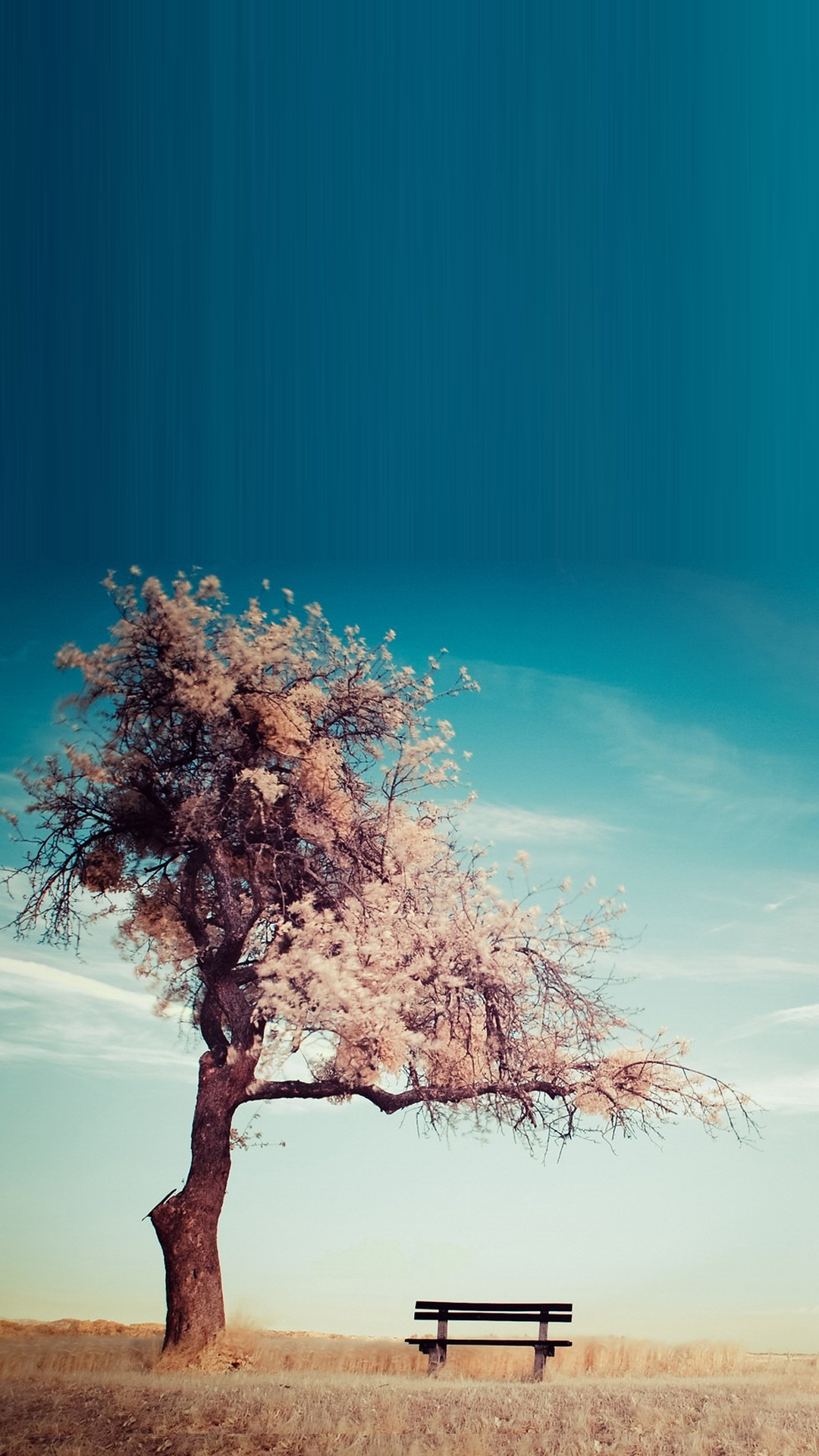 1080x1920 Tree Bench Smartphone HD Wallpapers