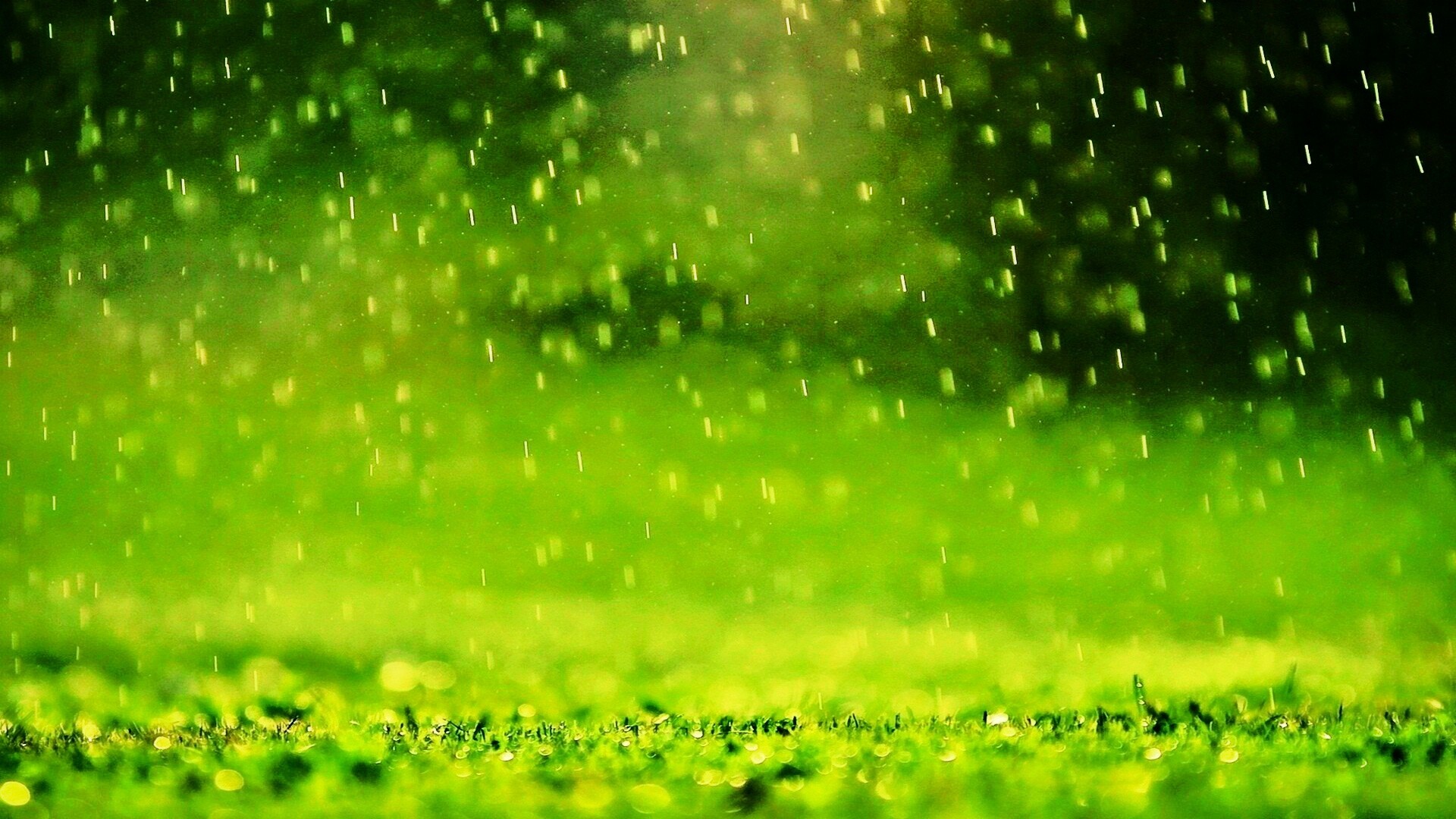 1920x1080 Izobilje kiÅ¡e a manjak biljaka kao predznak Sudnjeg dana ...Beautiful Rain  Drops Wallpapers
