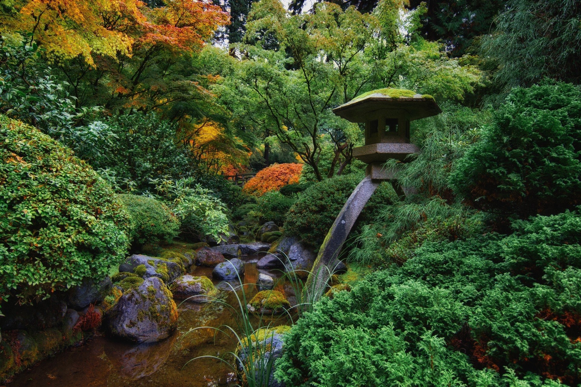 1920x1279 stones landscape tree portland river japanese garden