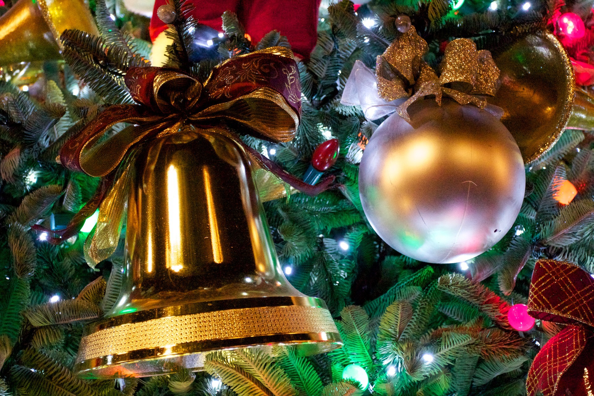 1920x1280 Best 25 Traditional christmas tree ideas on Pinterest | Christmas .