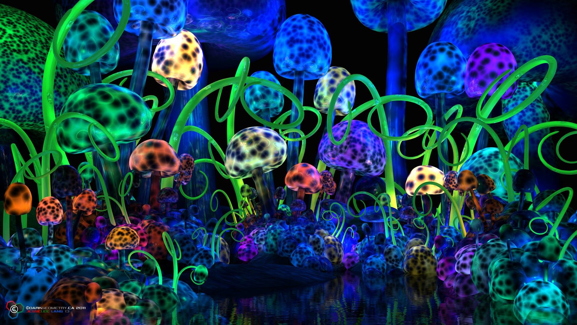 1920x1080 Trippy Shroom Wallpapers (75 Wallpapers)