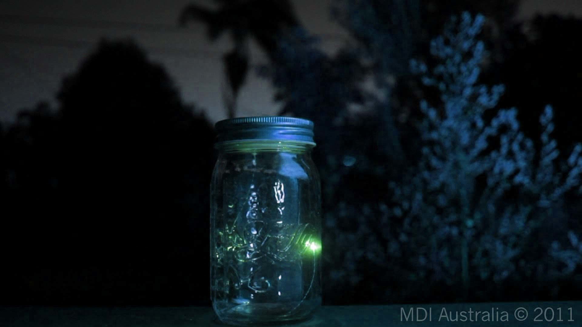 1920x1080 Images For > Fireflies In A Jar Wallpaper