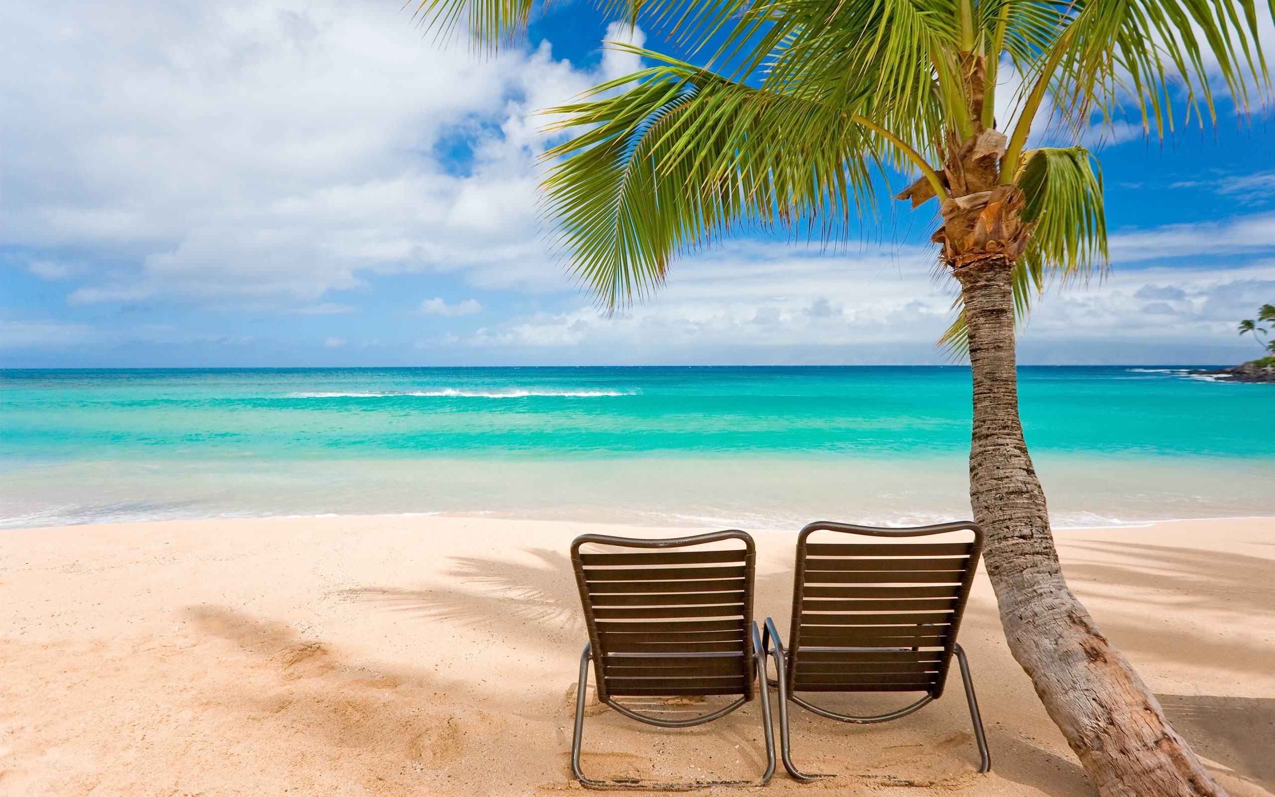 2560x1600 Summer HD Wallpapers 2 #SummerHDWallpapers #Summer #nature #wallpapers