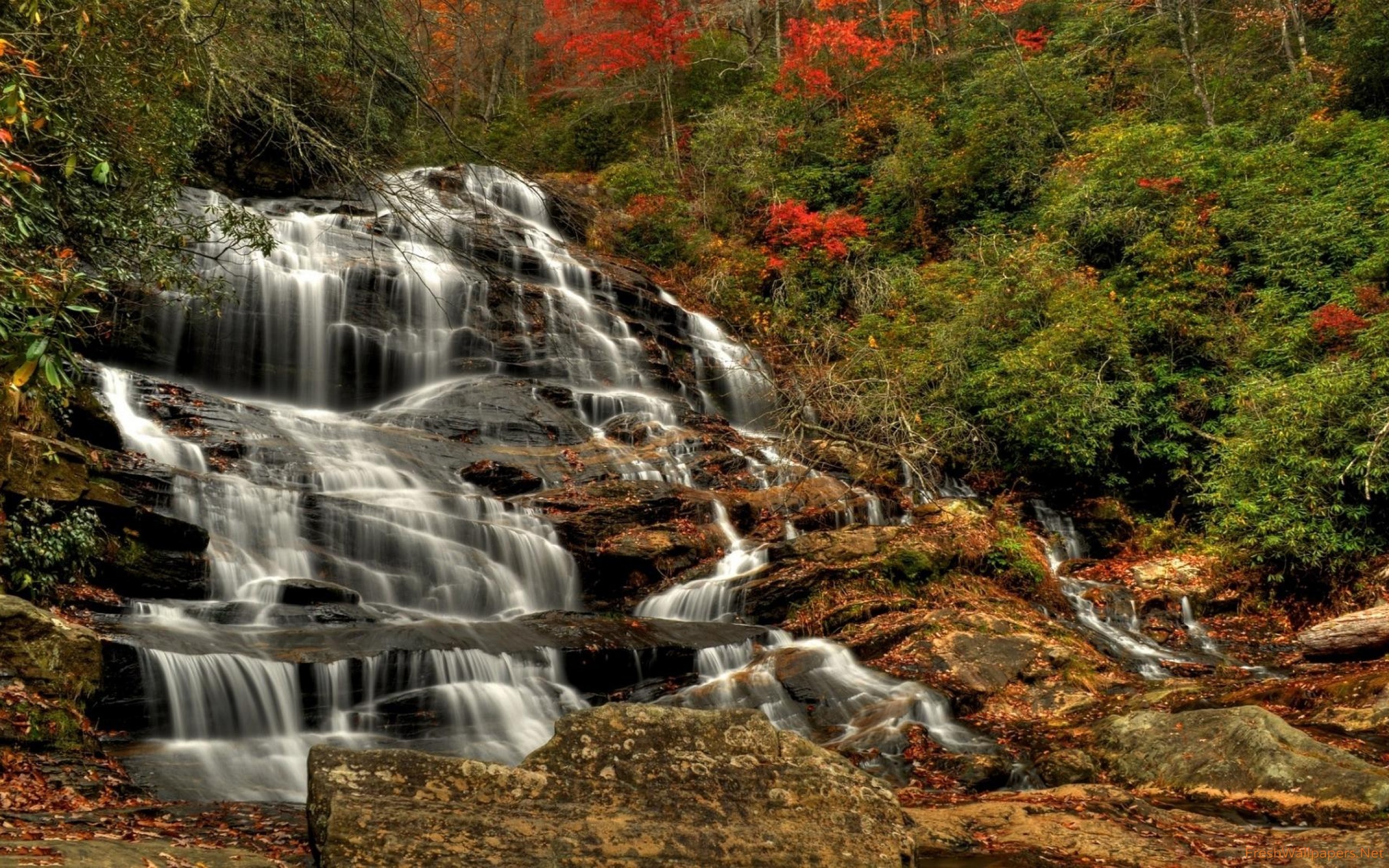 2560x1600 Waterfall in an autumn forest wallpaper