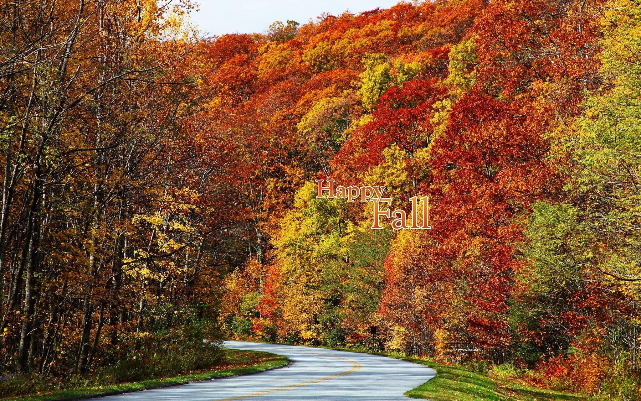 2048x1280  fall-color-wallpaper fall season HD free wallpapers backgrounds .