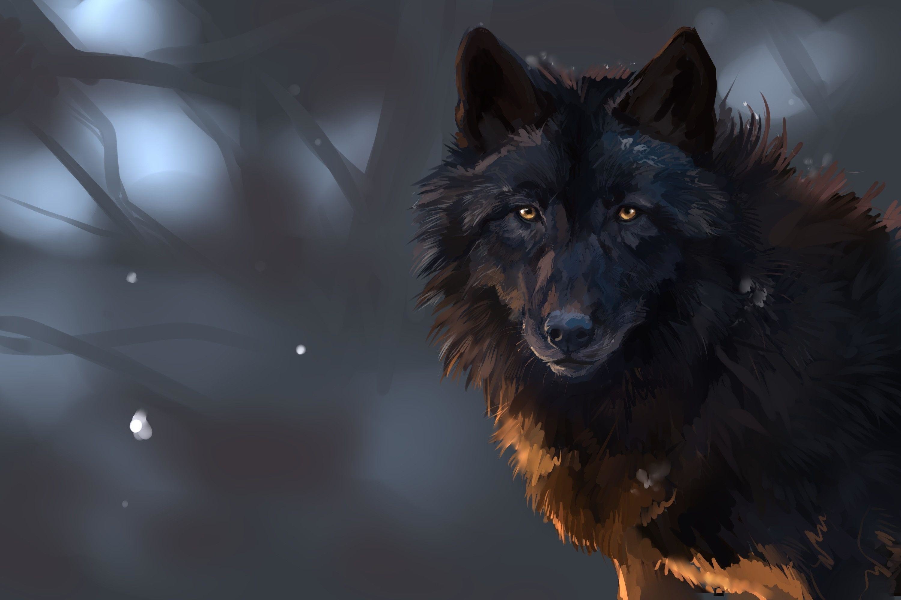 3000x2000  Wallpapers For > Dark Wolf Wallpapers