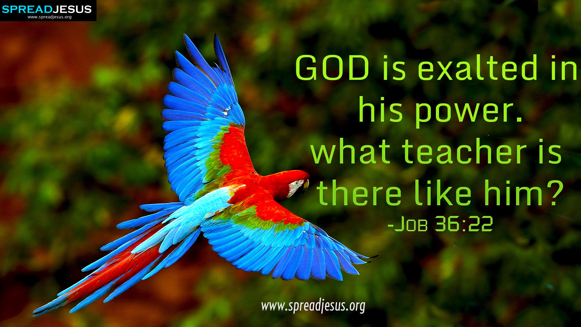 1920x1080 CHRISTIAN HD WALLPAPERS: HOLY BIBLE QUOTES : Job 36:22-GOD is exalted