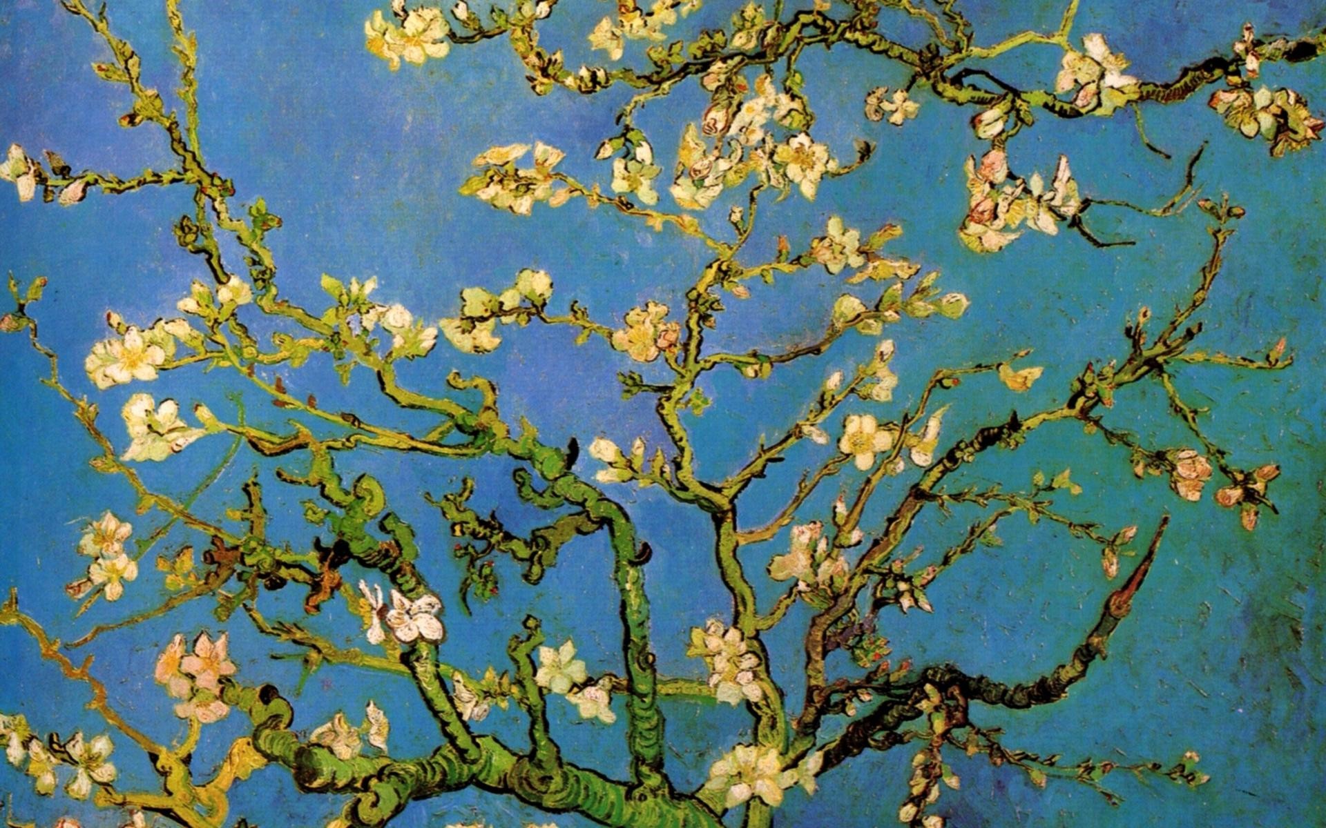 1920x1200 Almond Tree Van Gogh Wallpaper