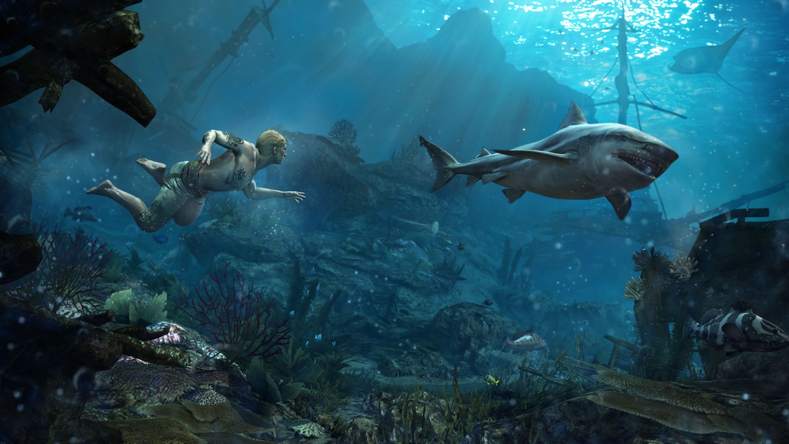 2560x1440 Assassin's Creed 4: Black Flag, Underwater, Shark, Shipwreck