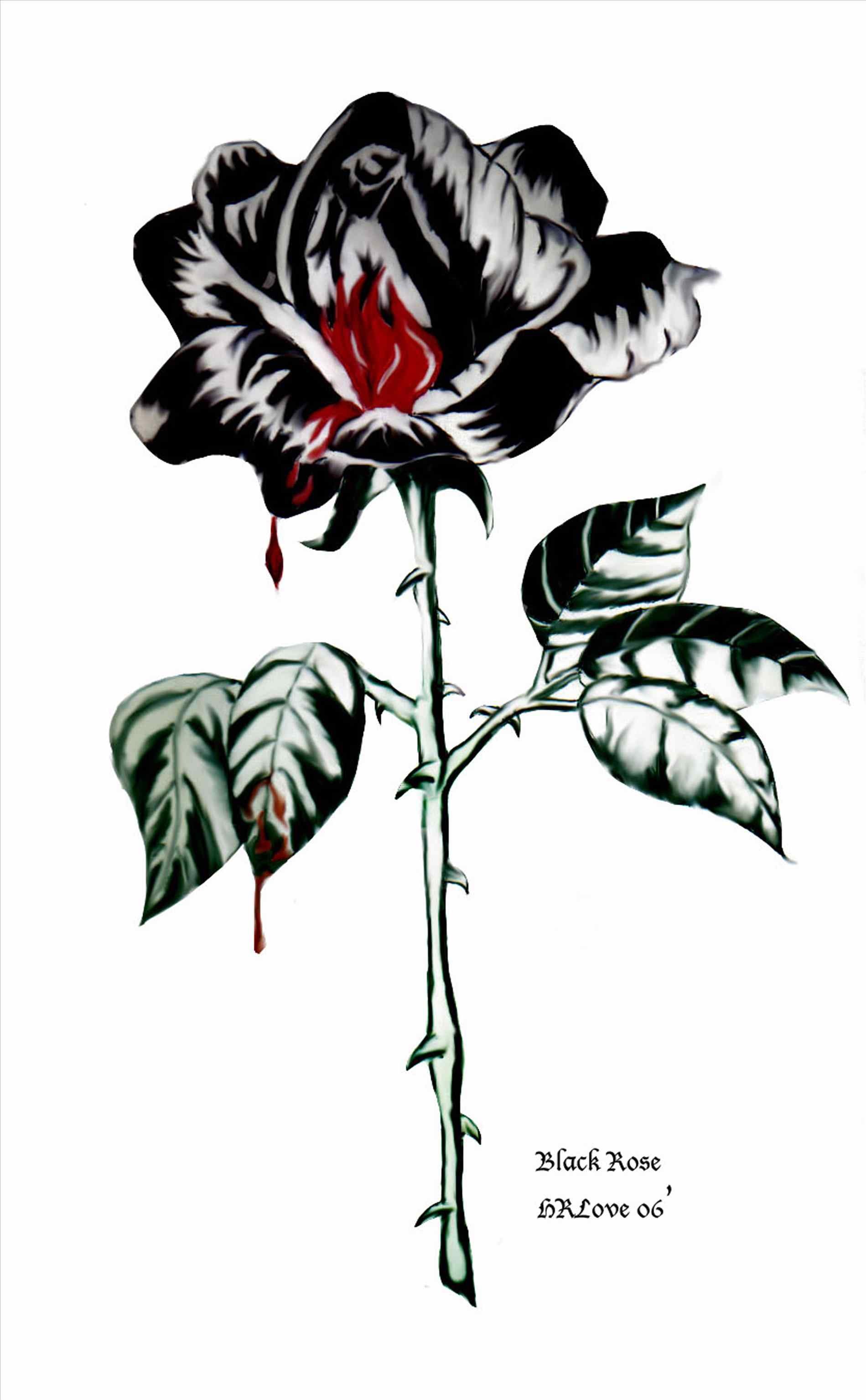1899x3067 By shizuo on deviantart drawing a black with polychromos pencils youtube  drawing bloody rose drawing a .