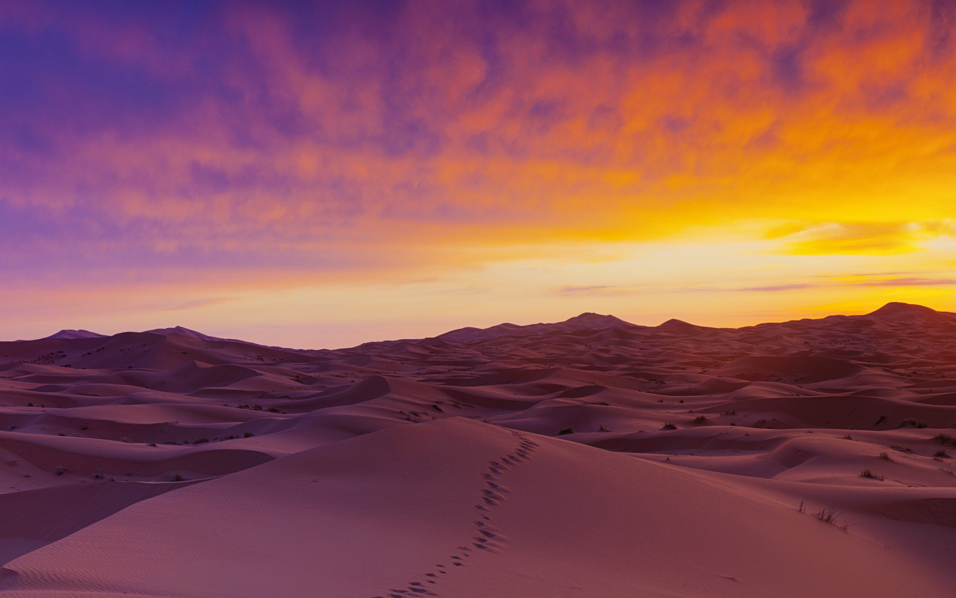 1920x1200 Desert Sand Wallpaper Incredible Sahara Desert Sand Dunes Hd Nature 4k  Wallpapers