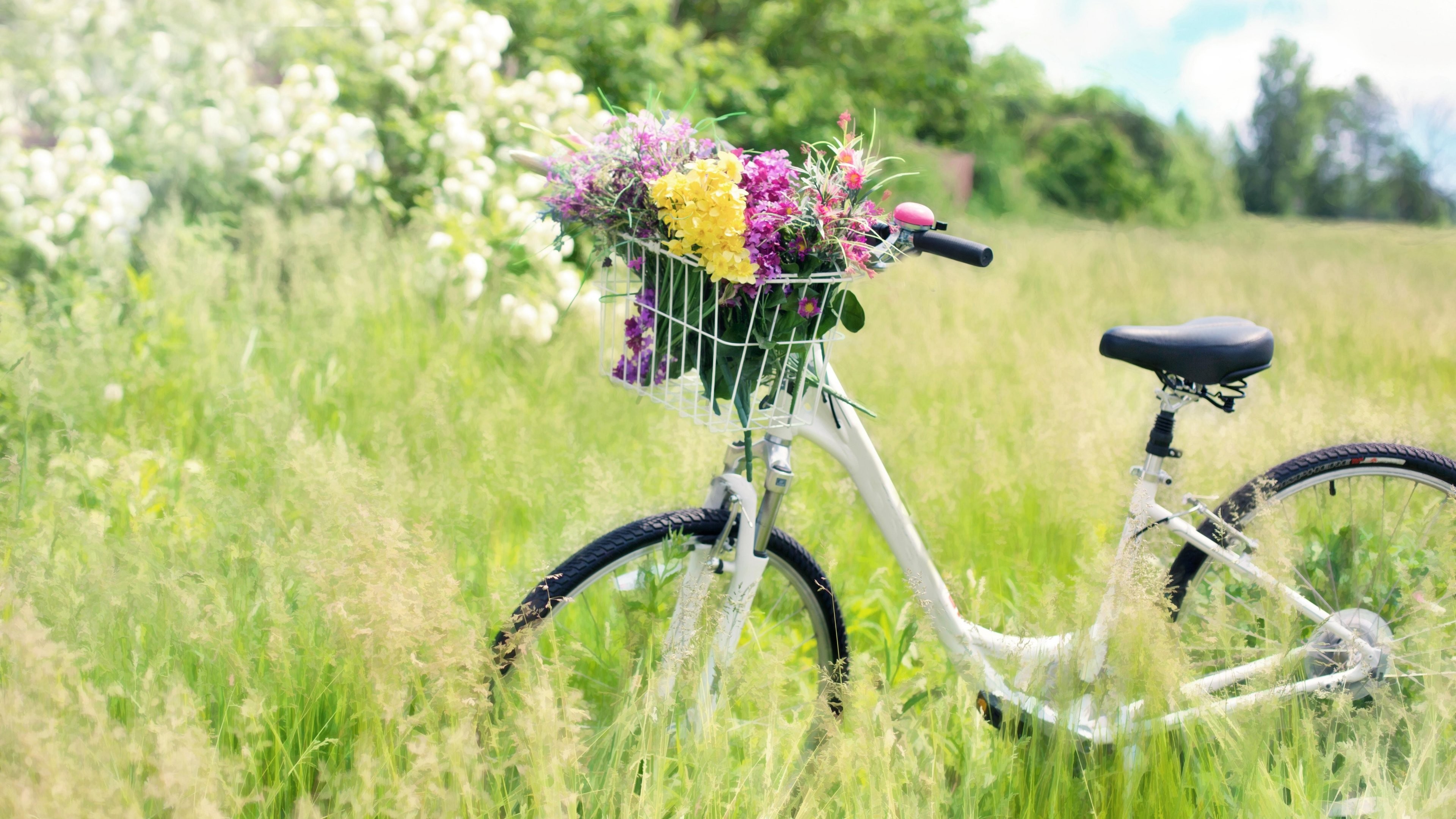 3840x2160 Romantic Bicycle in Meadow