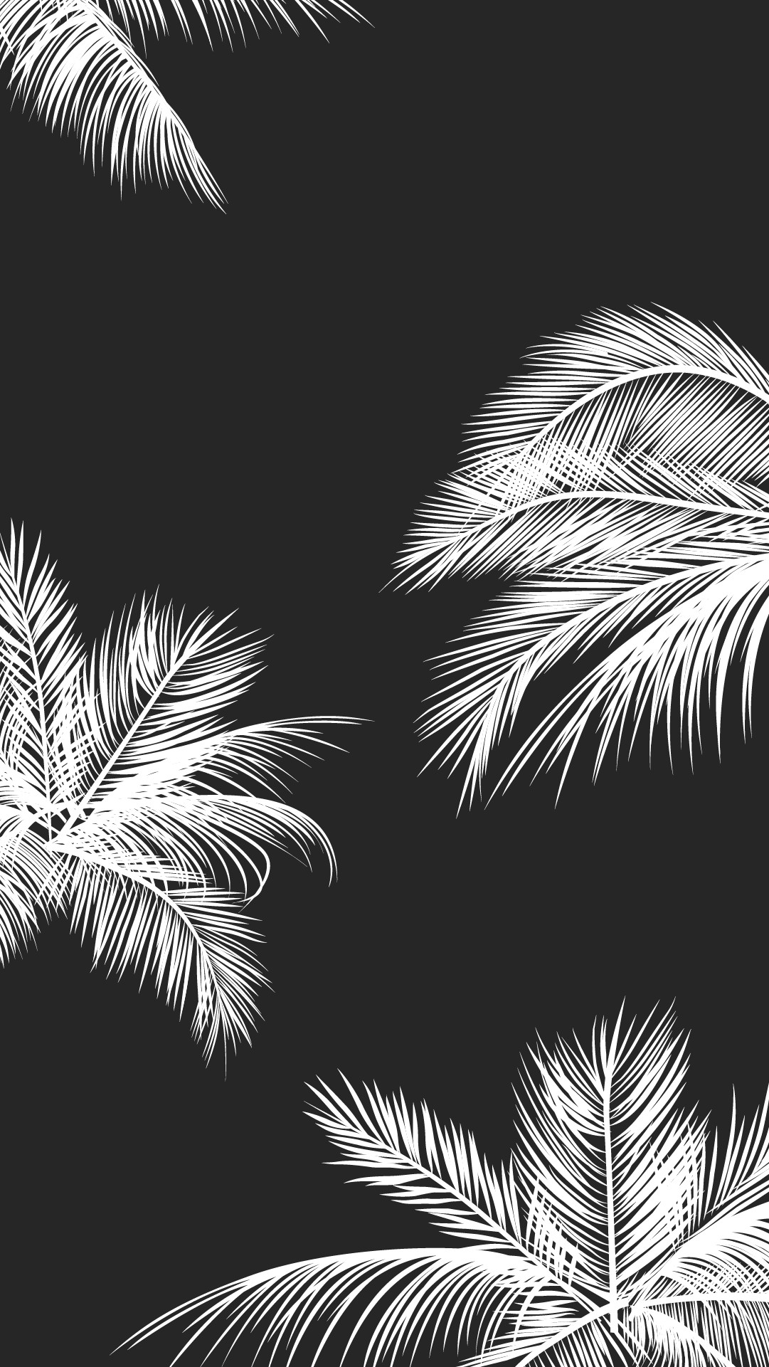 1081x1921 Black white palm leaves palm trees