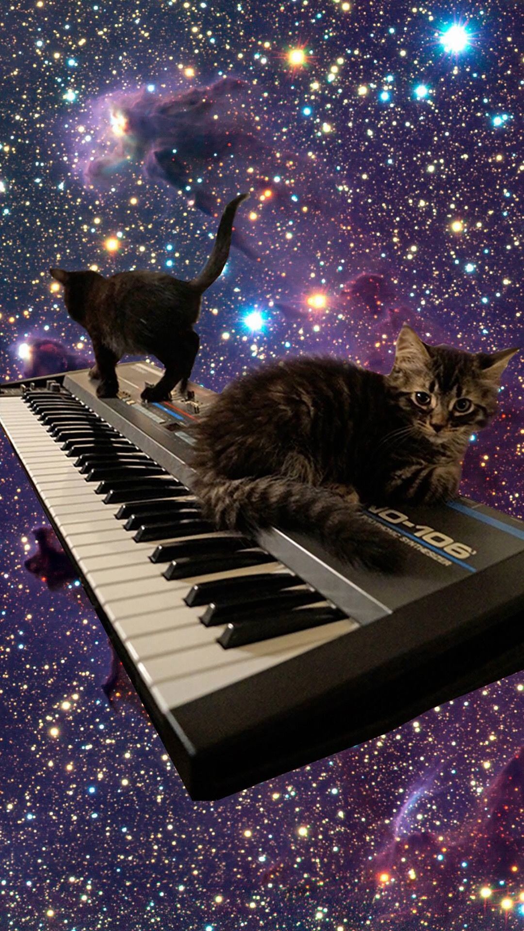 1080x1920 Electronic Music, Funny Cats, Galaxy Cat, Space, Cute Animals, Kitty Cats