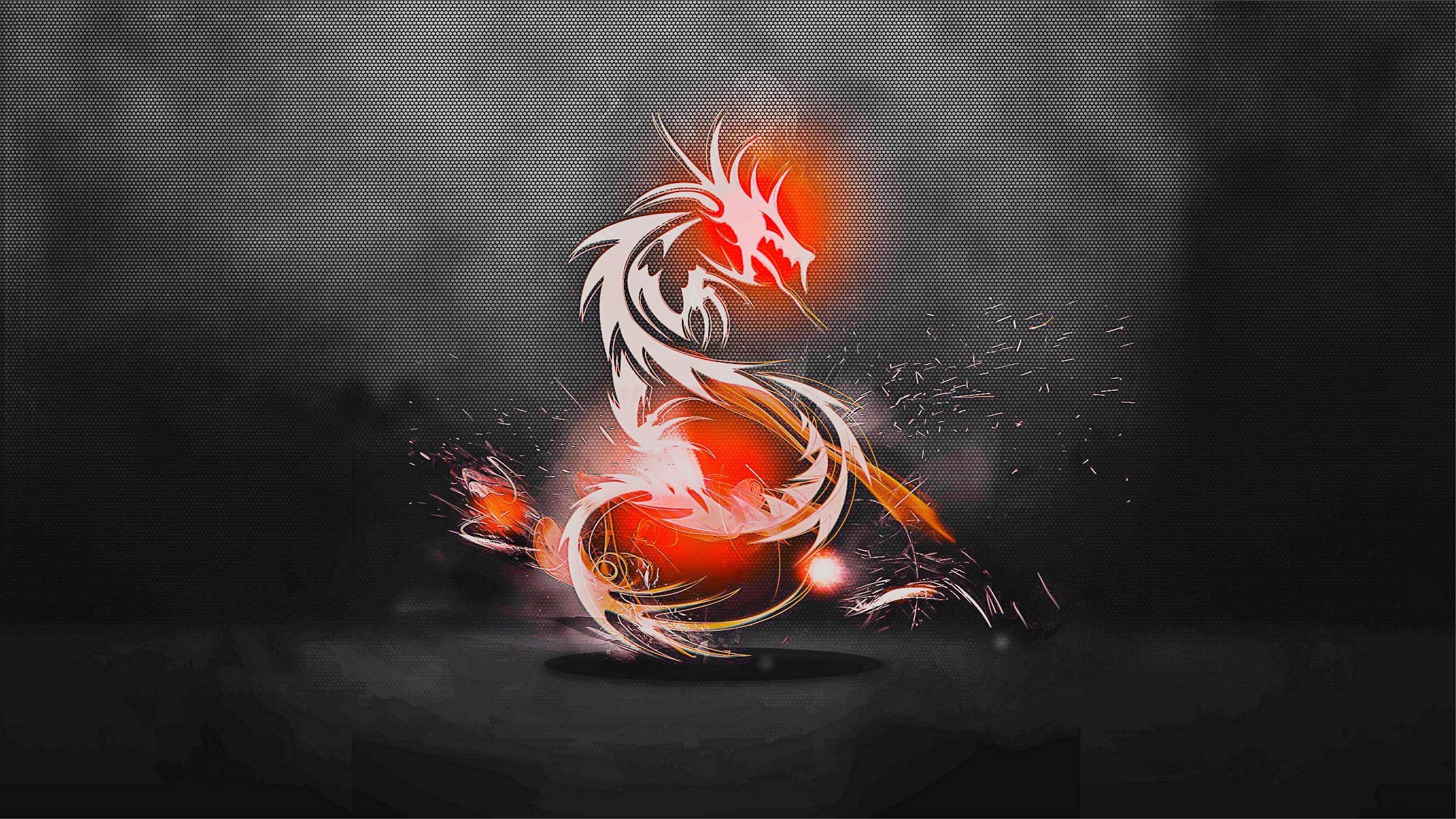 2560x1440 Red Dragon Wallpapers