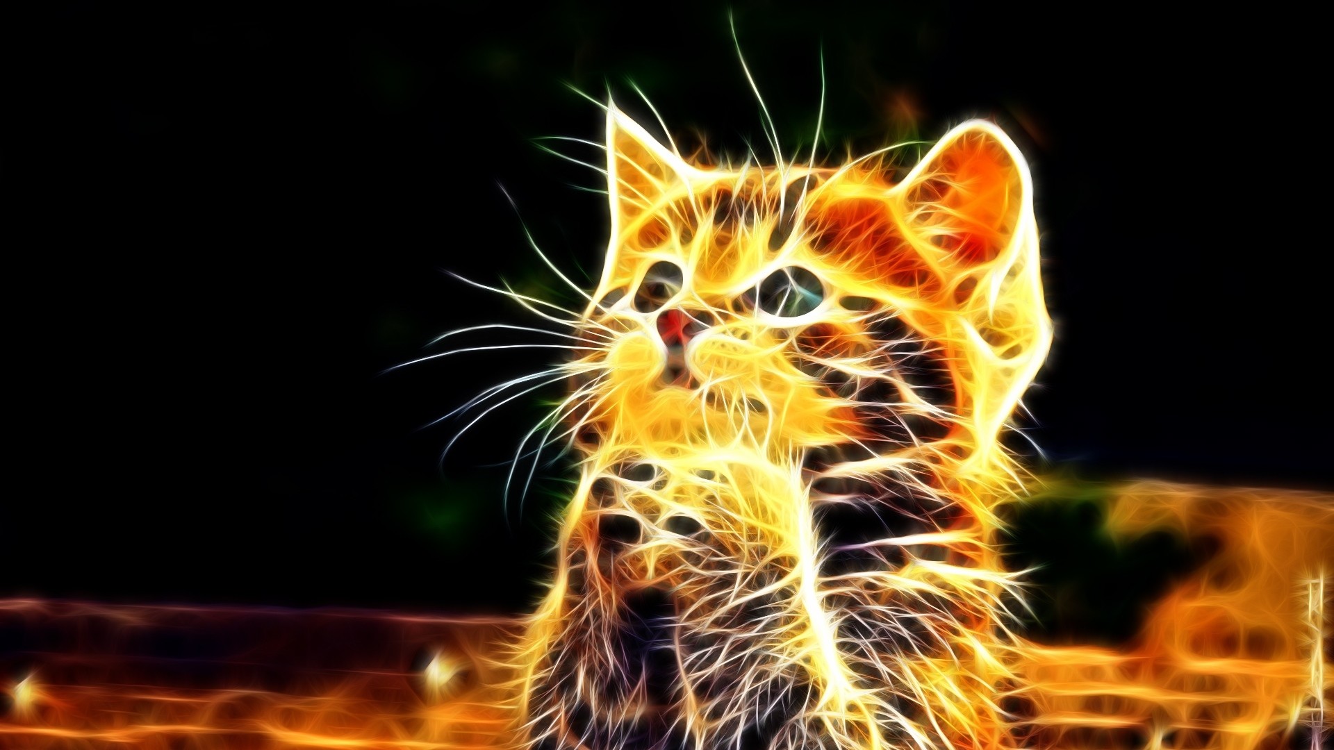 1920x1080 Related Wallpapers kitty, furry. Preview kitty