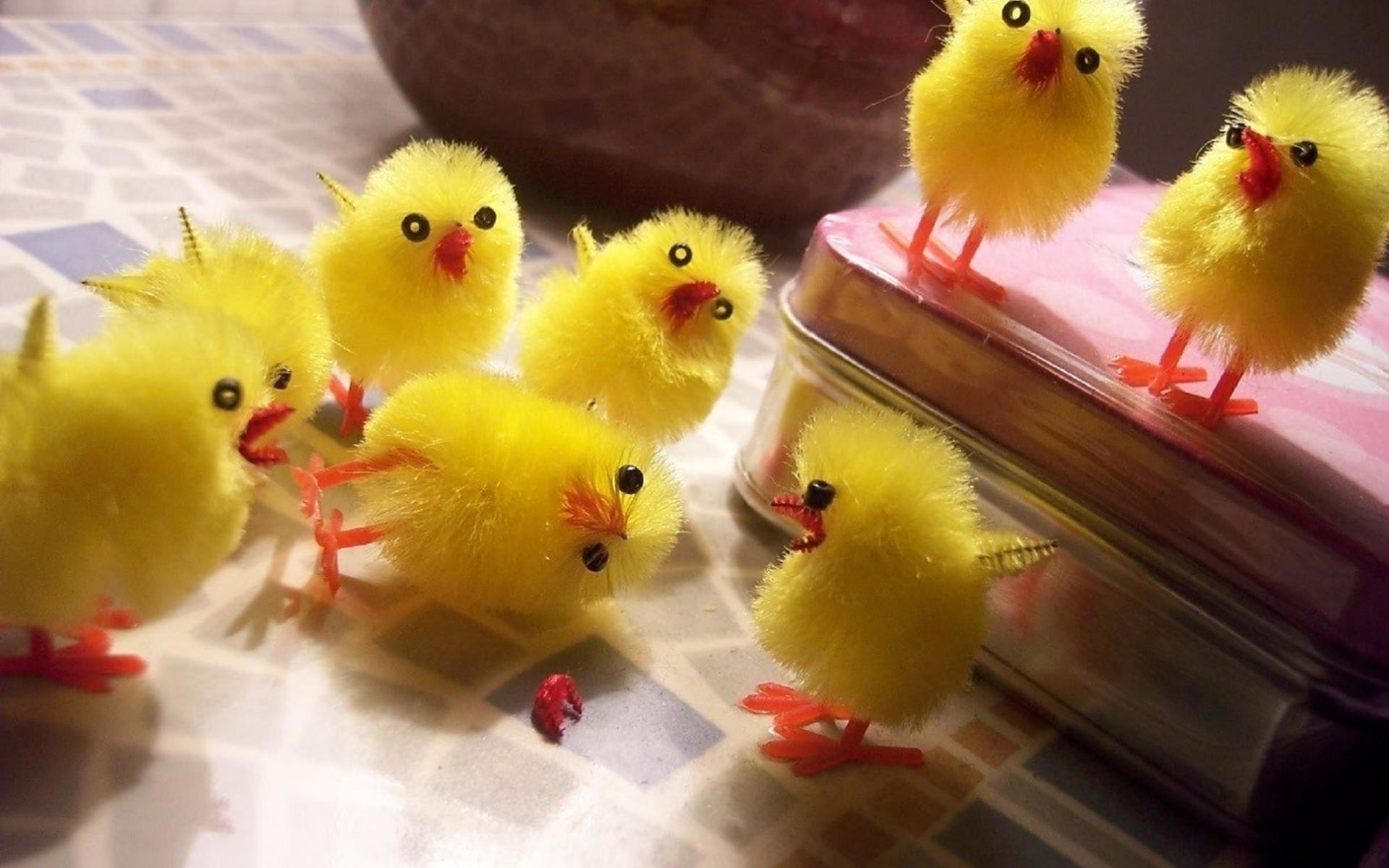 1920x1200 , 1, A, Chicks, Birds, Cute, Toys, Chickens, Easter, Humor Wallpapers HD /  Desktop and Mobile Backgrounds