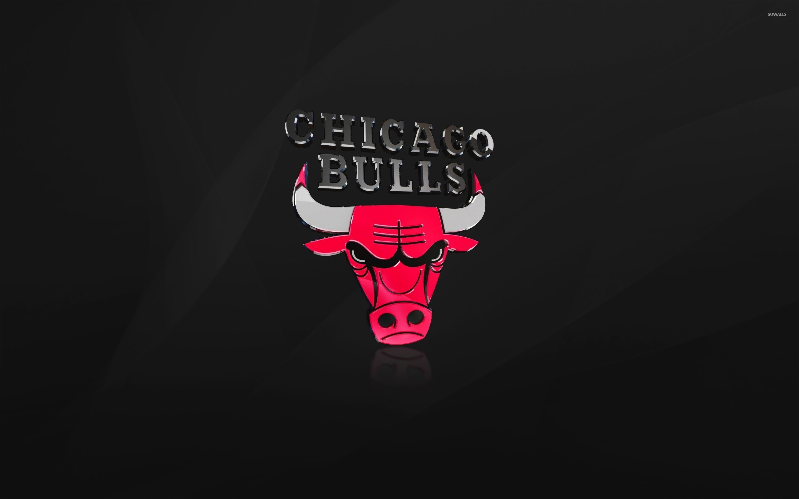 2560x1600 Shiny Chicago Bulls logo wallpaper