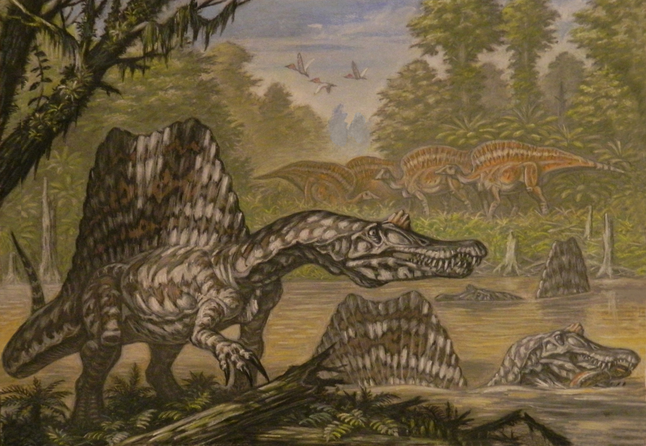 2442x1686 Spinosaurus aegyptiacus. by ABelov2014 Spinosaurus aegyptiacus. by  ABelov2014