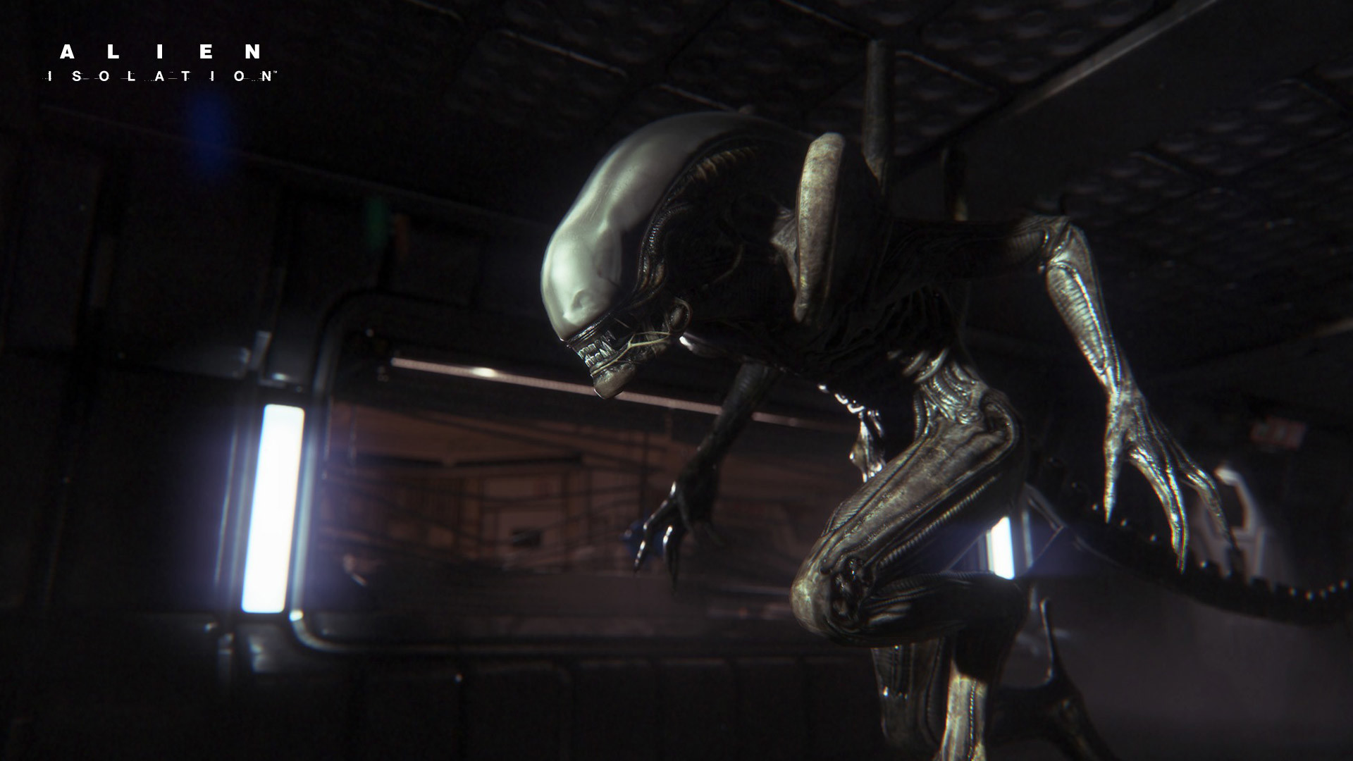 1920x1080 HD Wallpaper | Background ID:550026.  Video Game Alien: Isolation