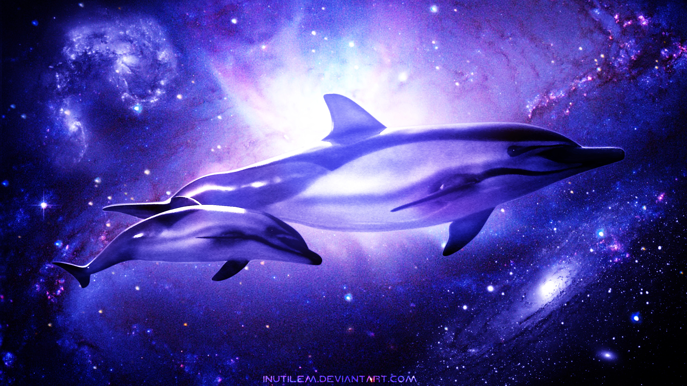 Wallpaper ID 582153  water 1080P underwater dolphins cute free  download
