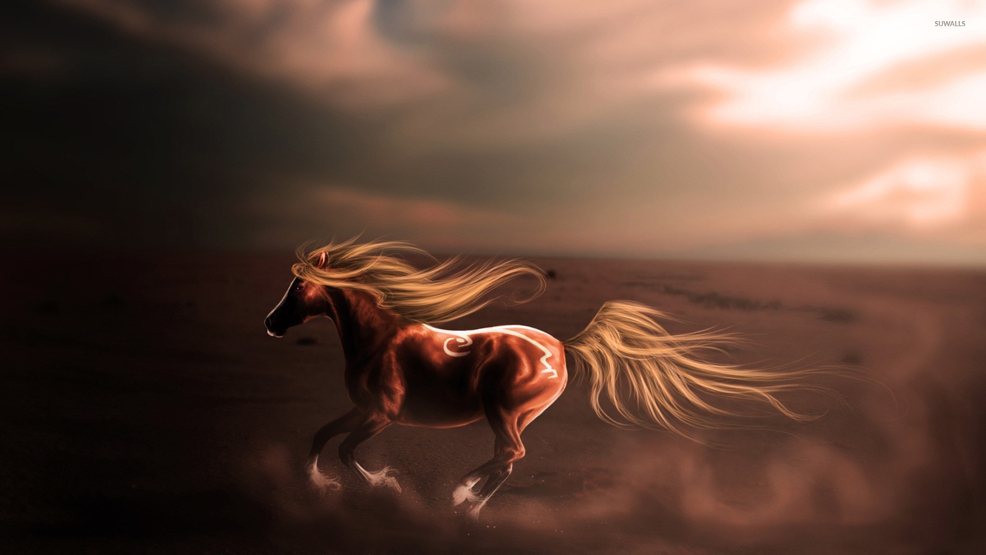 1920x1080 Majestic horse in the desert wallpaper - Fantasy .