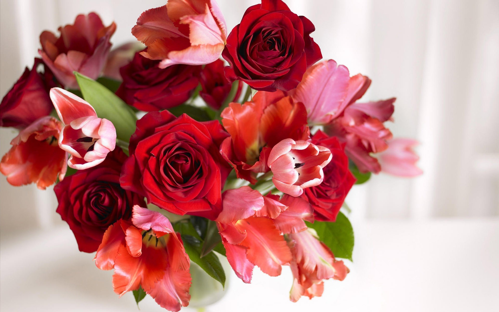 1920x1200 Beautiful Rose and tulips HD Wallpaper Good Morning, Have a nice day, happy  morning
