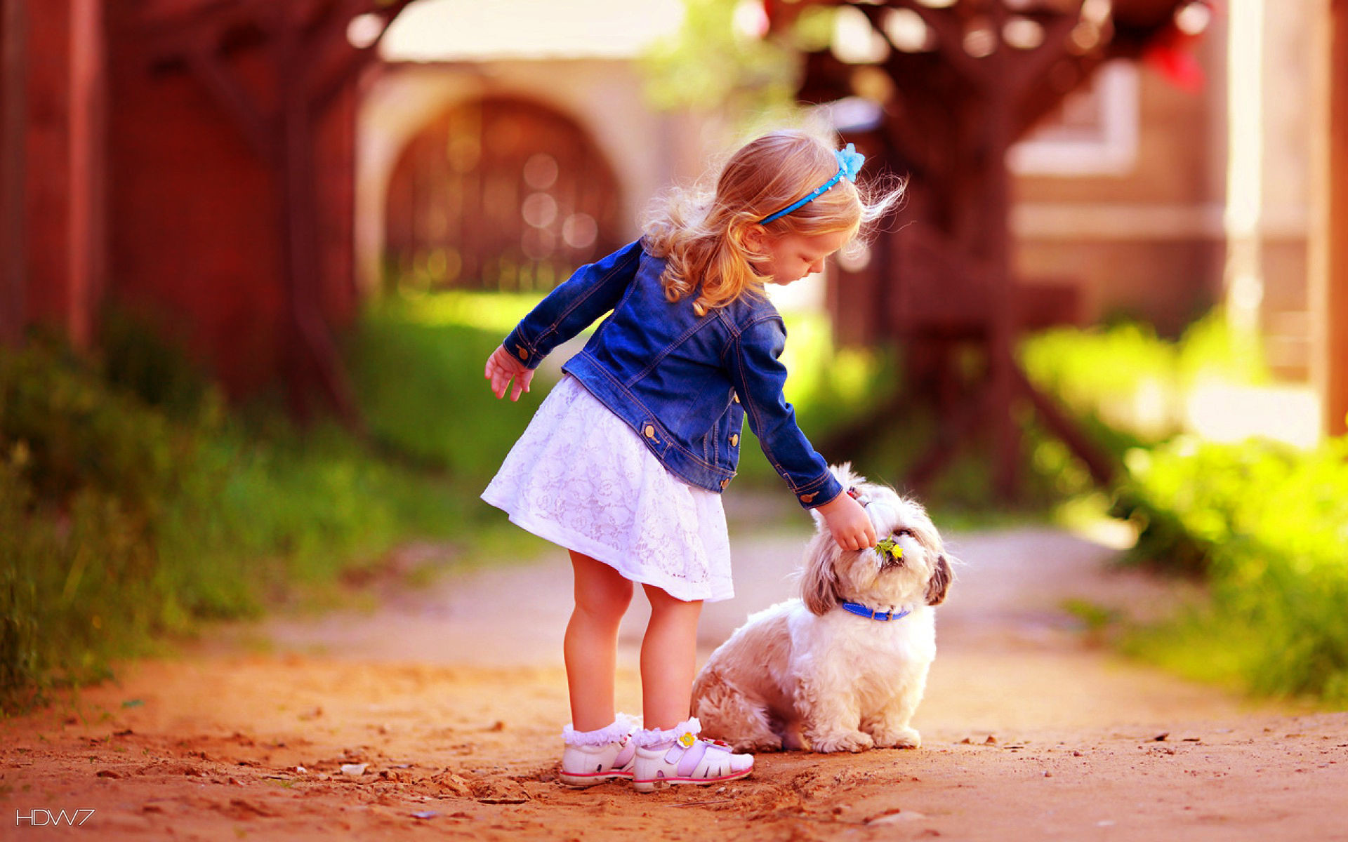 1920x1200 girl with cute dog friendship hd wallpaper