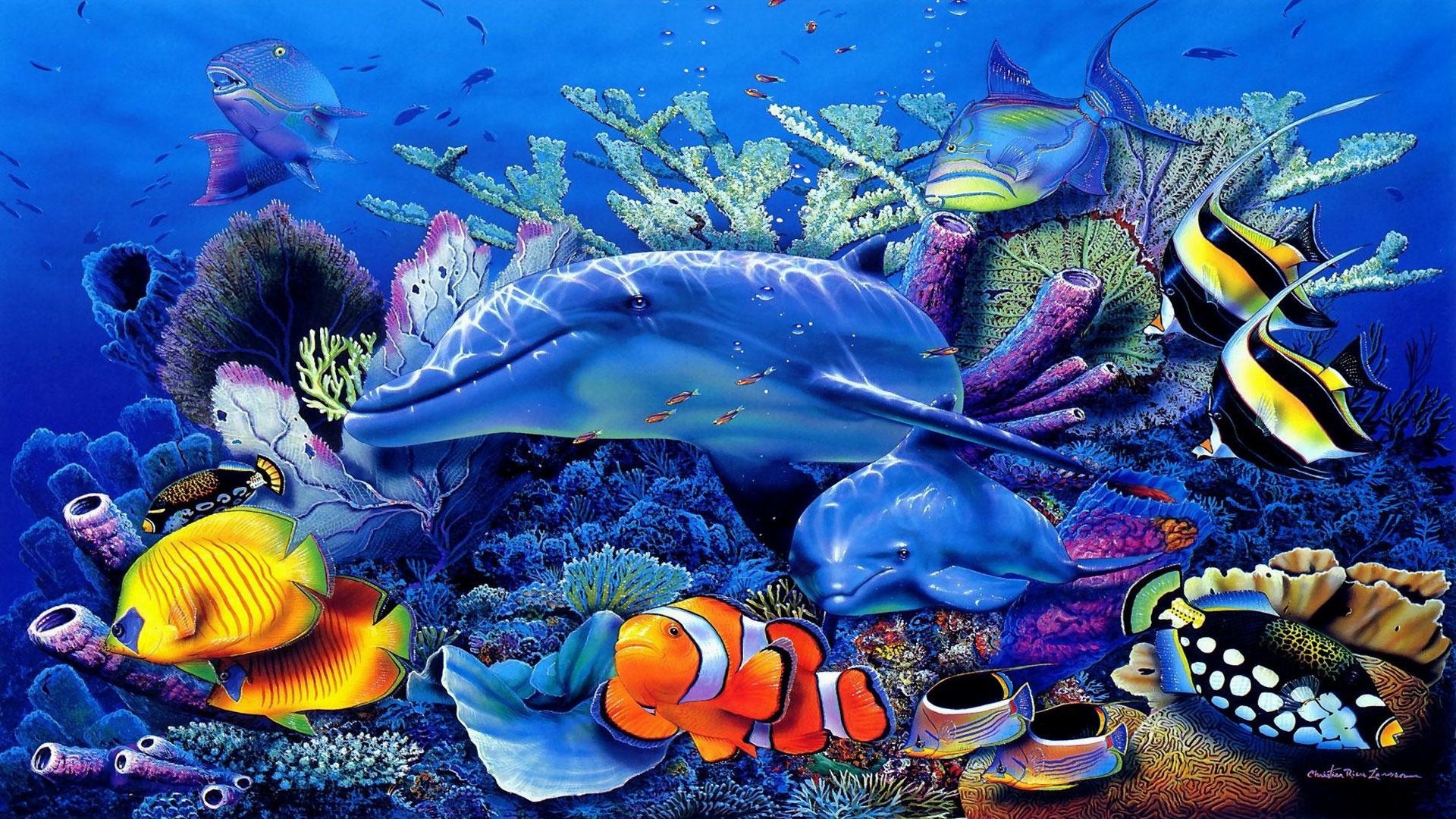 1920x1080 ideas about Aquarium Screensaver on Pinterest Colorful 1920Ã1080