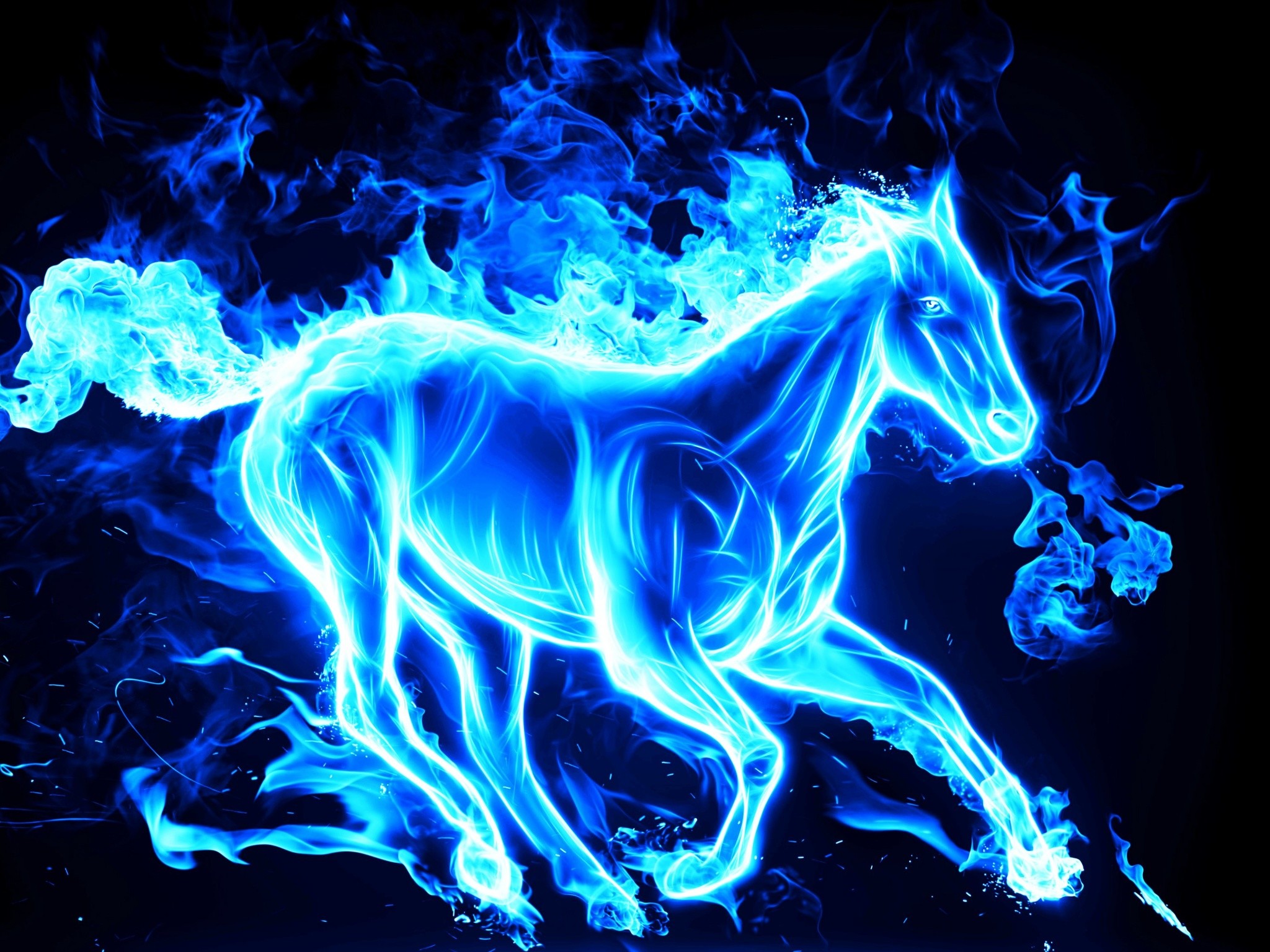 2048x1536 Cool Horse Wallpapers Group