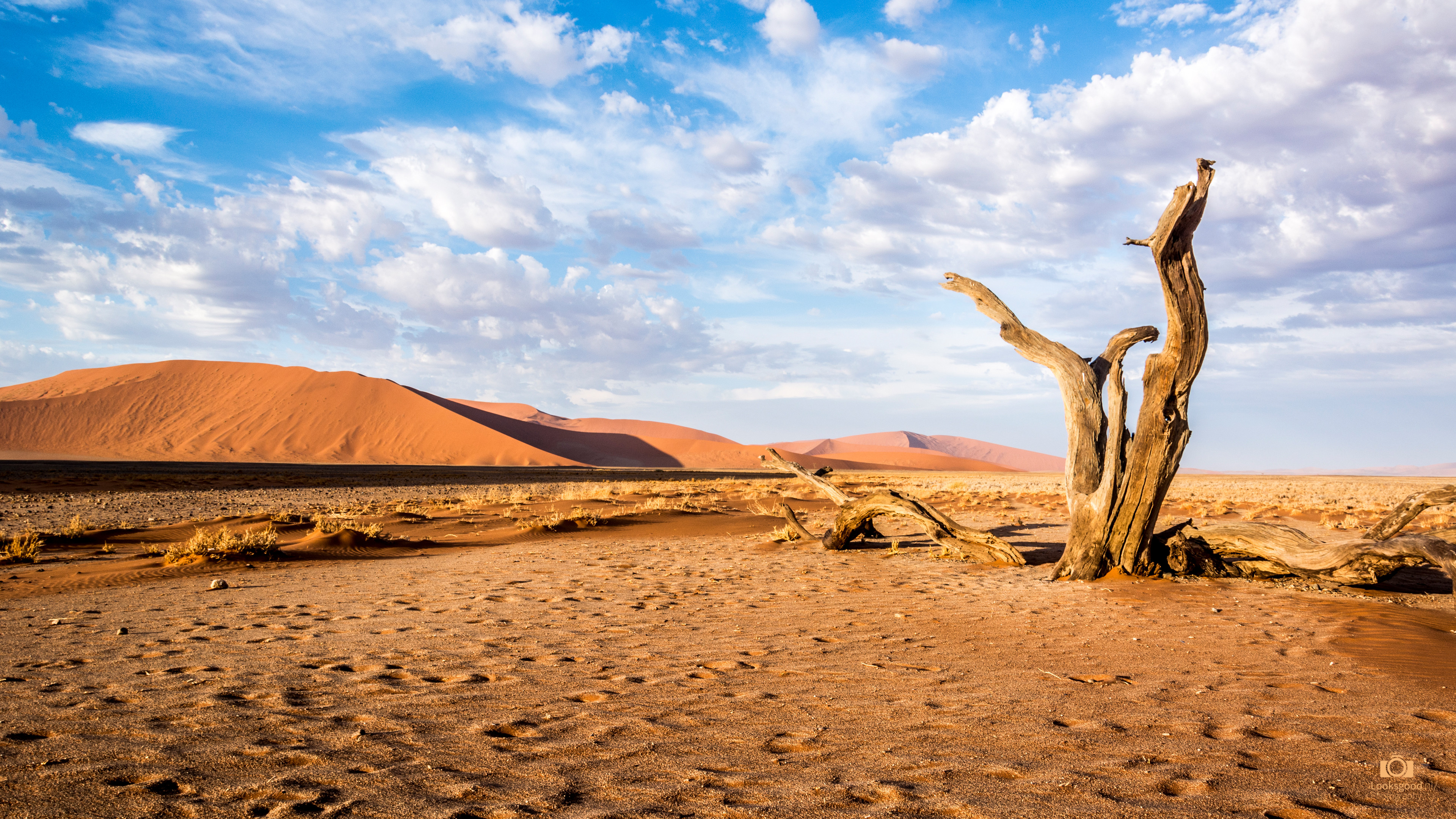 3840x2160 desert background pictures Free Wallpaper Download: Sossusvlei Namibia  Desert 4K Wallpaper / Desktop Background