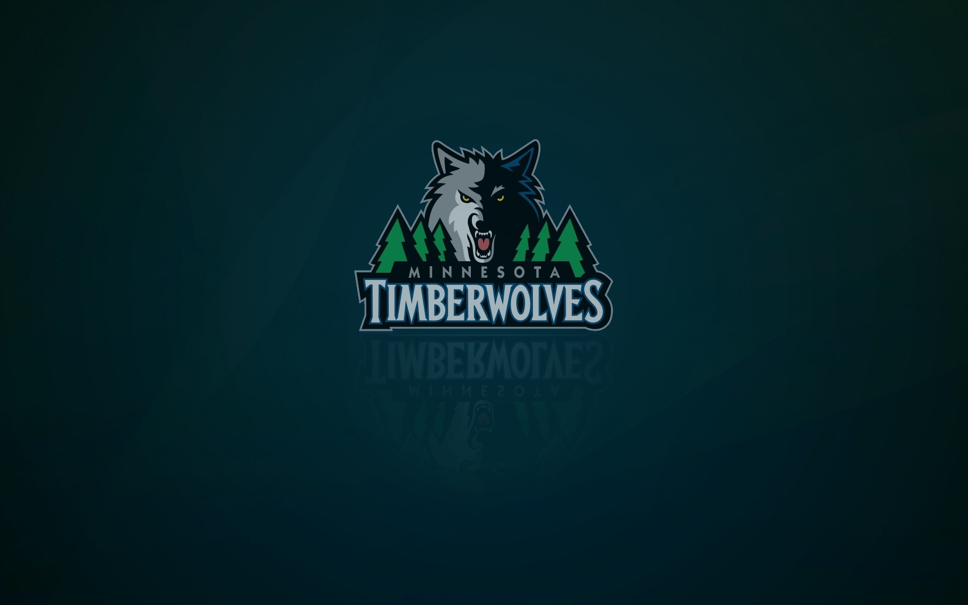 1920x1200  minnesota timberwolves logo on brick wall