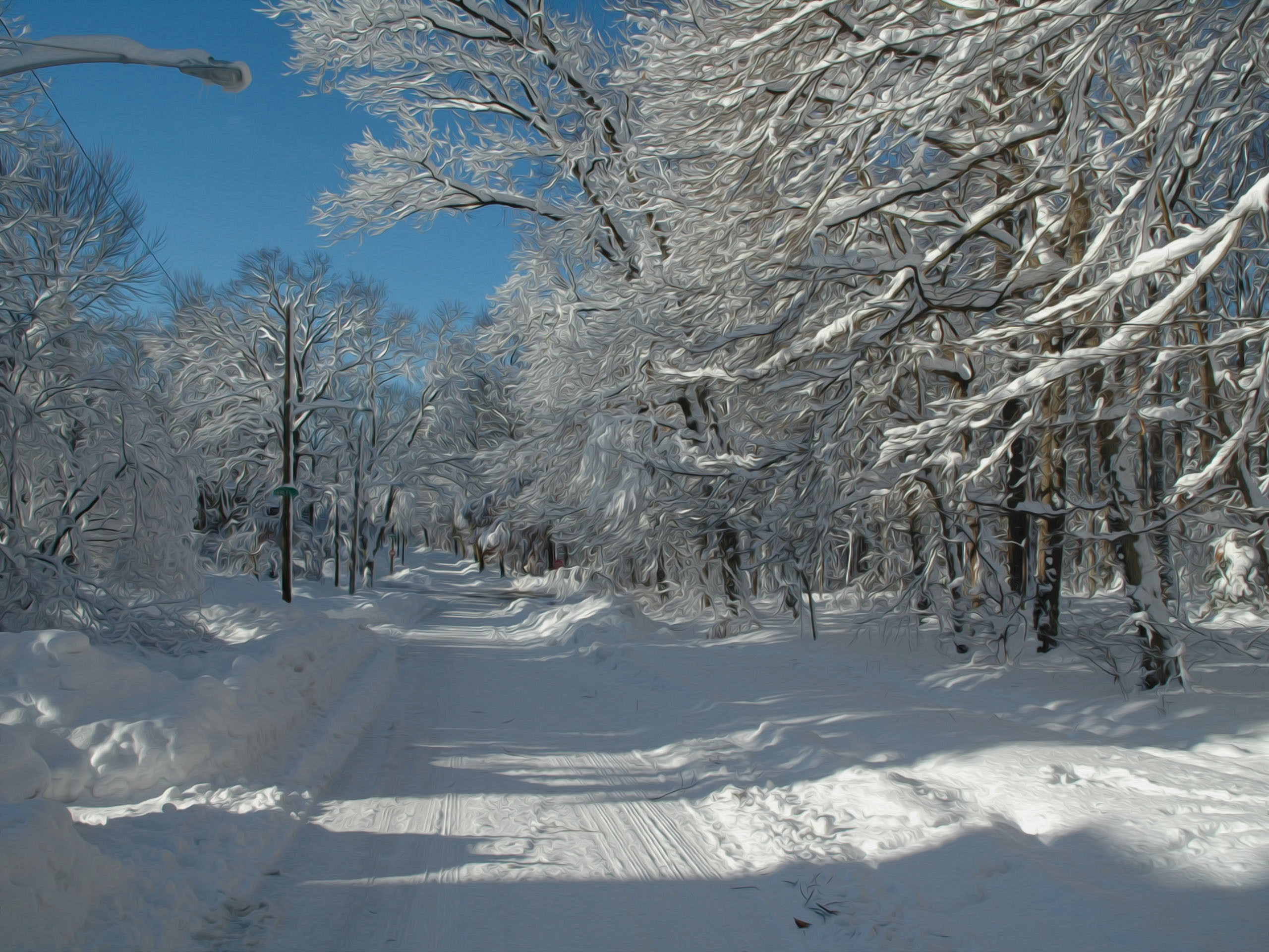 2560x1920 Winter Nature Snow Scene