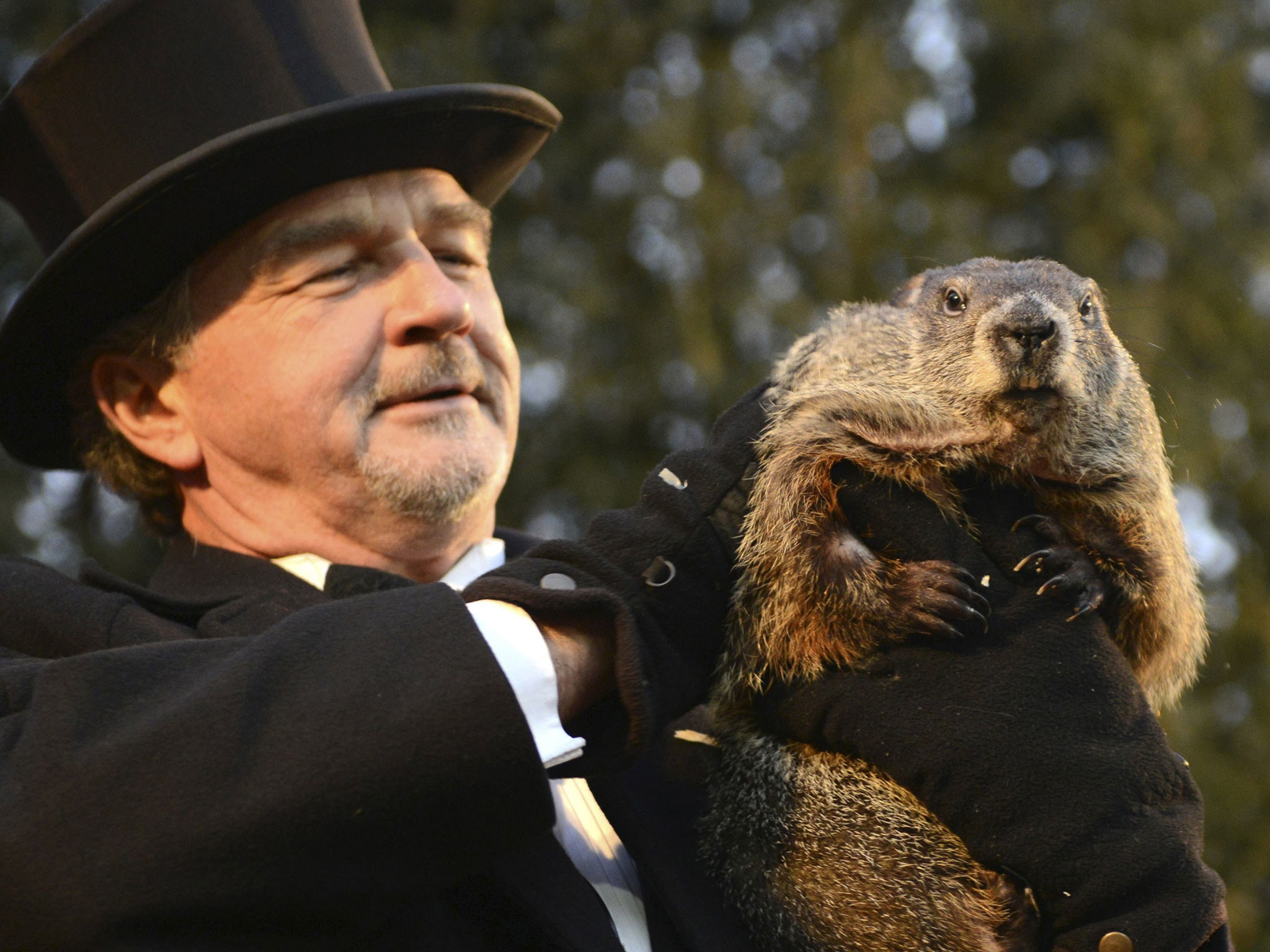 2048x1536 Groundhog Day: Punxsutawney Phil predicts early spring after not seeing  shadow | The Independent