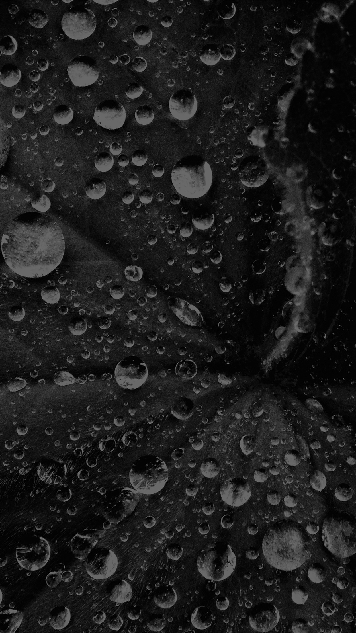 1242x2208 Black Water Drop Wallpaper Lovely for iPhone X iPhonexpapers