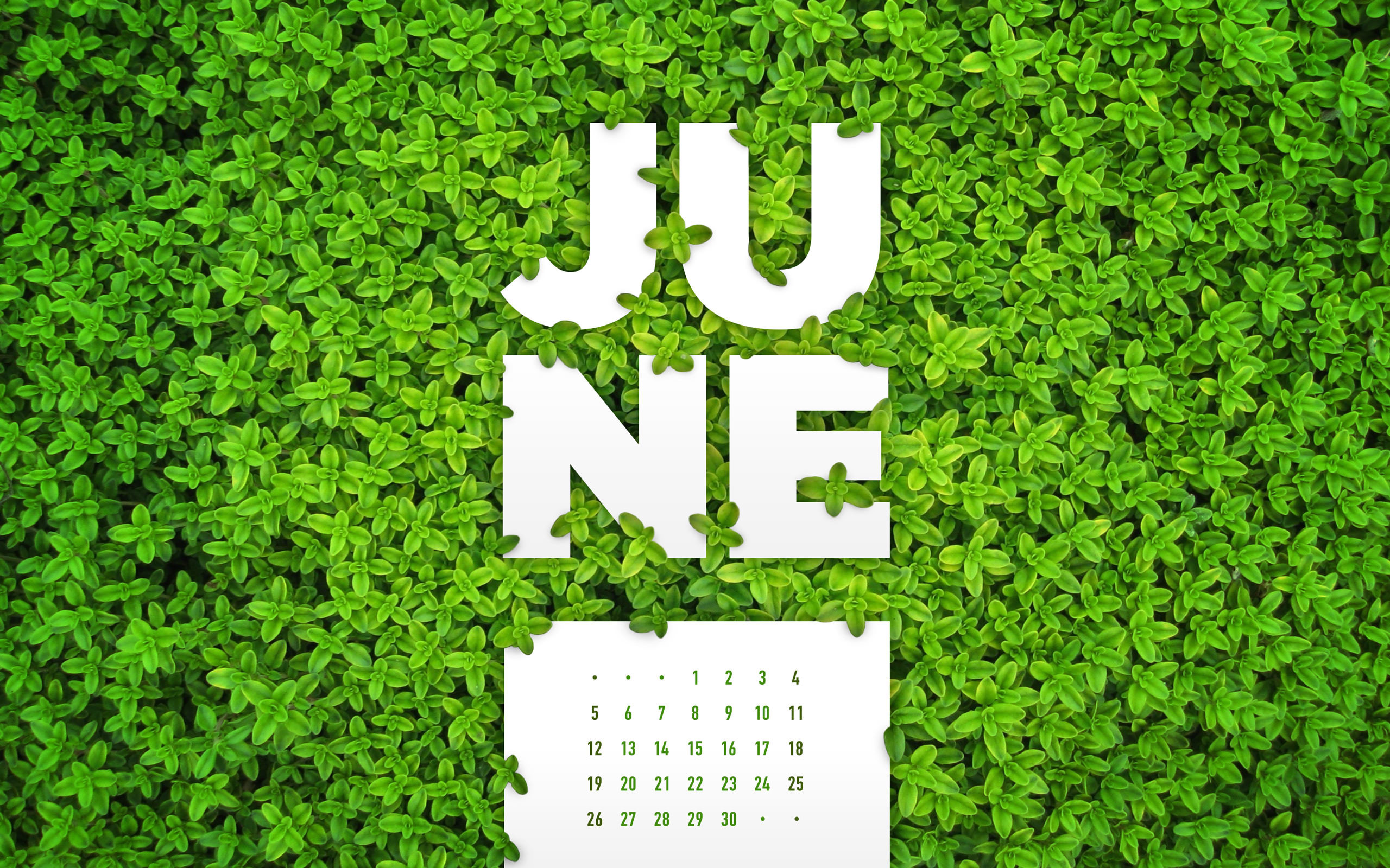 2560x1600 June 2016 Desktop Calendar Wallpaper