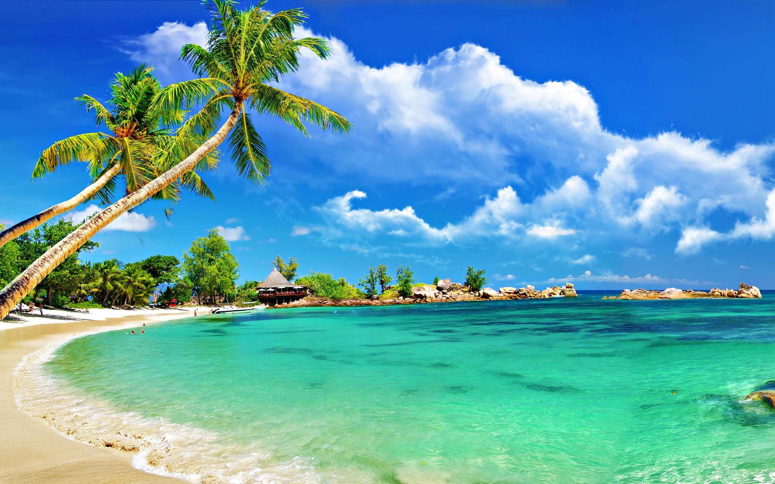 2560x1600 Beaches Beach 3D Nature Wallpaper For Pc Free Download
