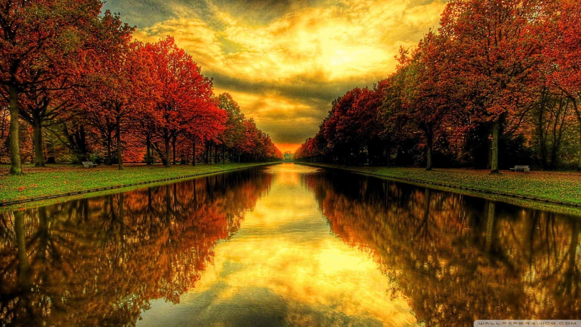 1920x1080 #autumn #leaves #sunset #sun #sky #fall #leaves #wallpaper