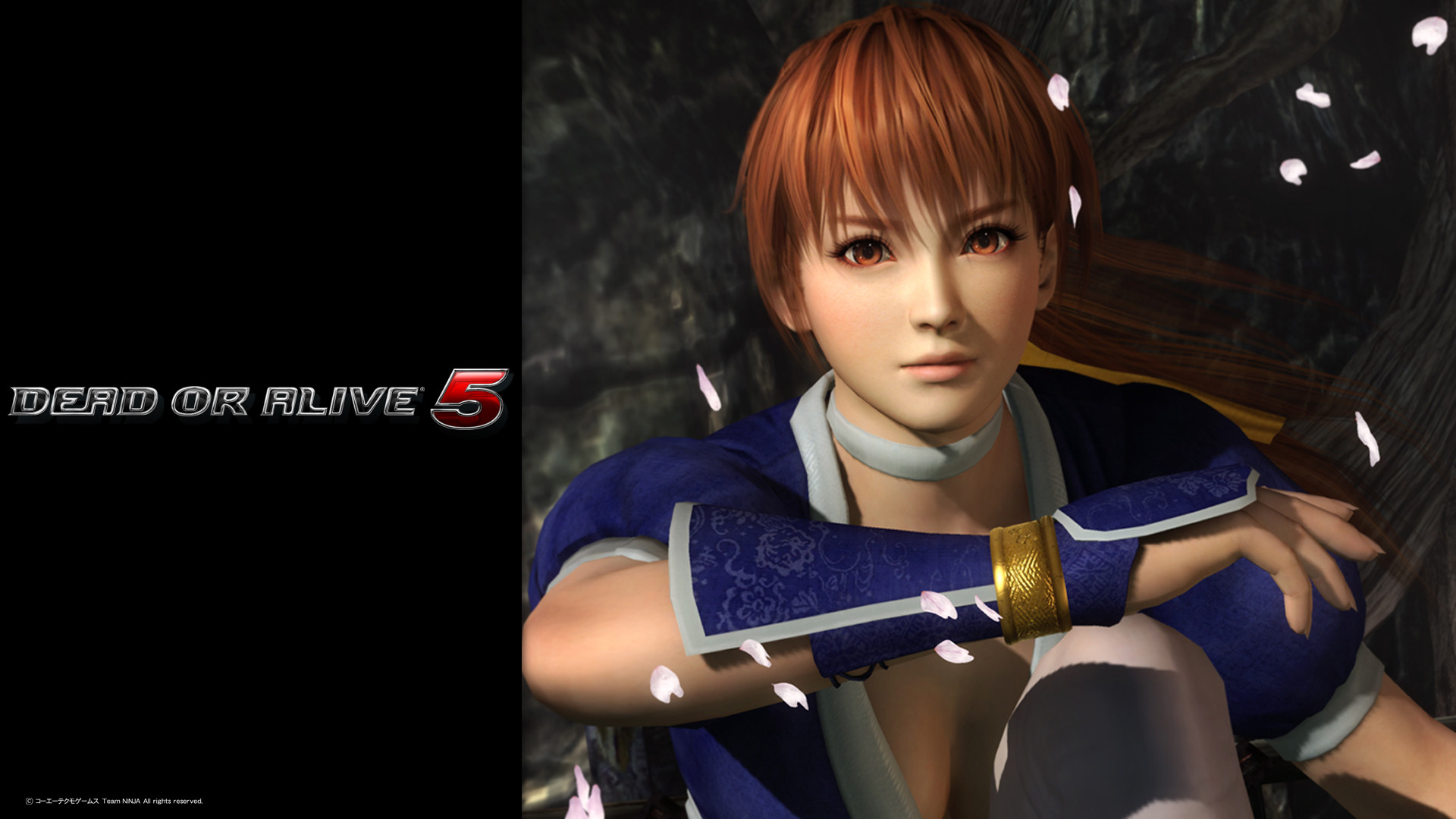 1920x1080  ... images Dead or Alive 5 | Ayane HD wallpaper and background  photos